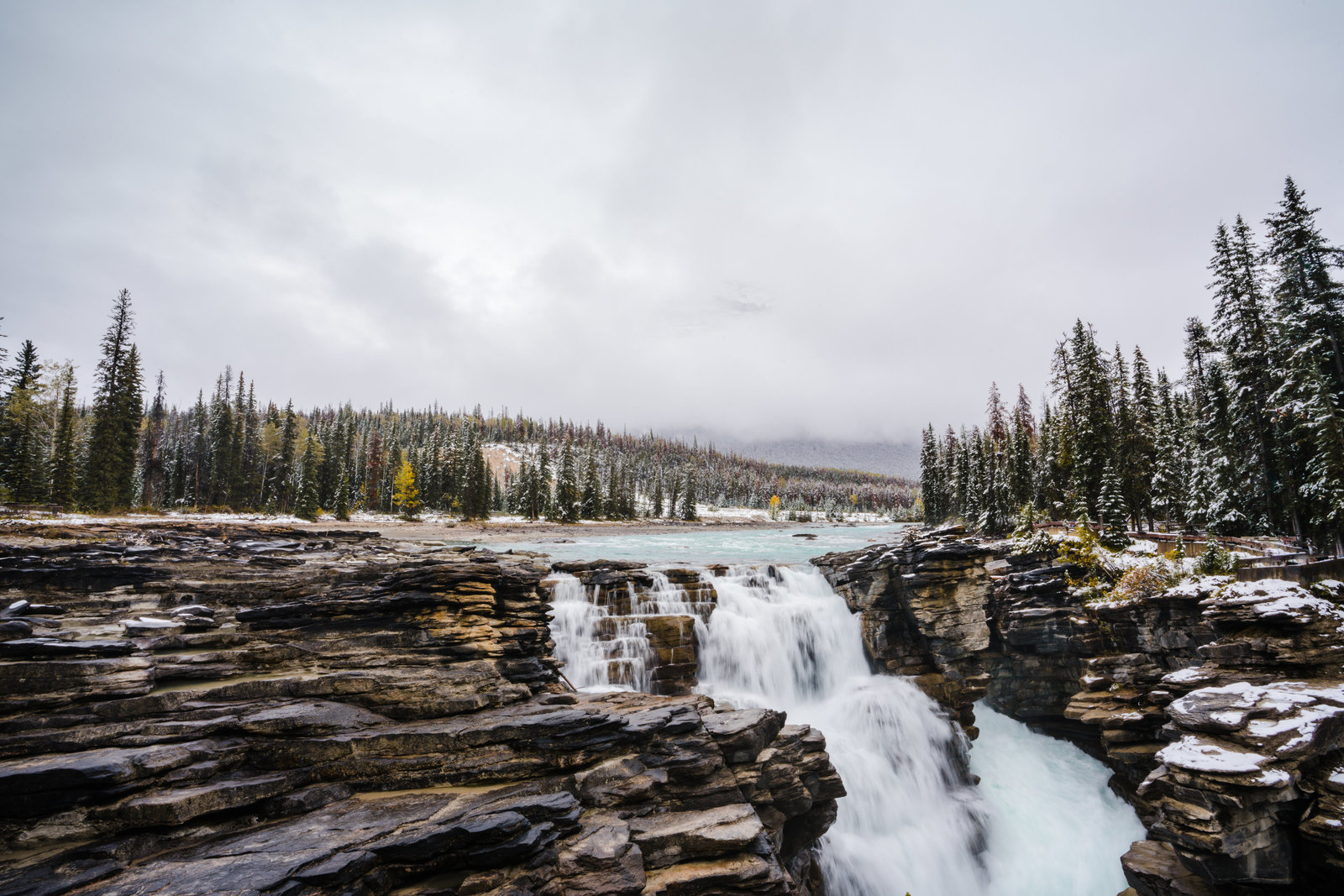 Banff_Jasper_National_Park_Sasha_Reiko_Photography-106