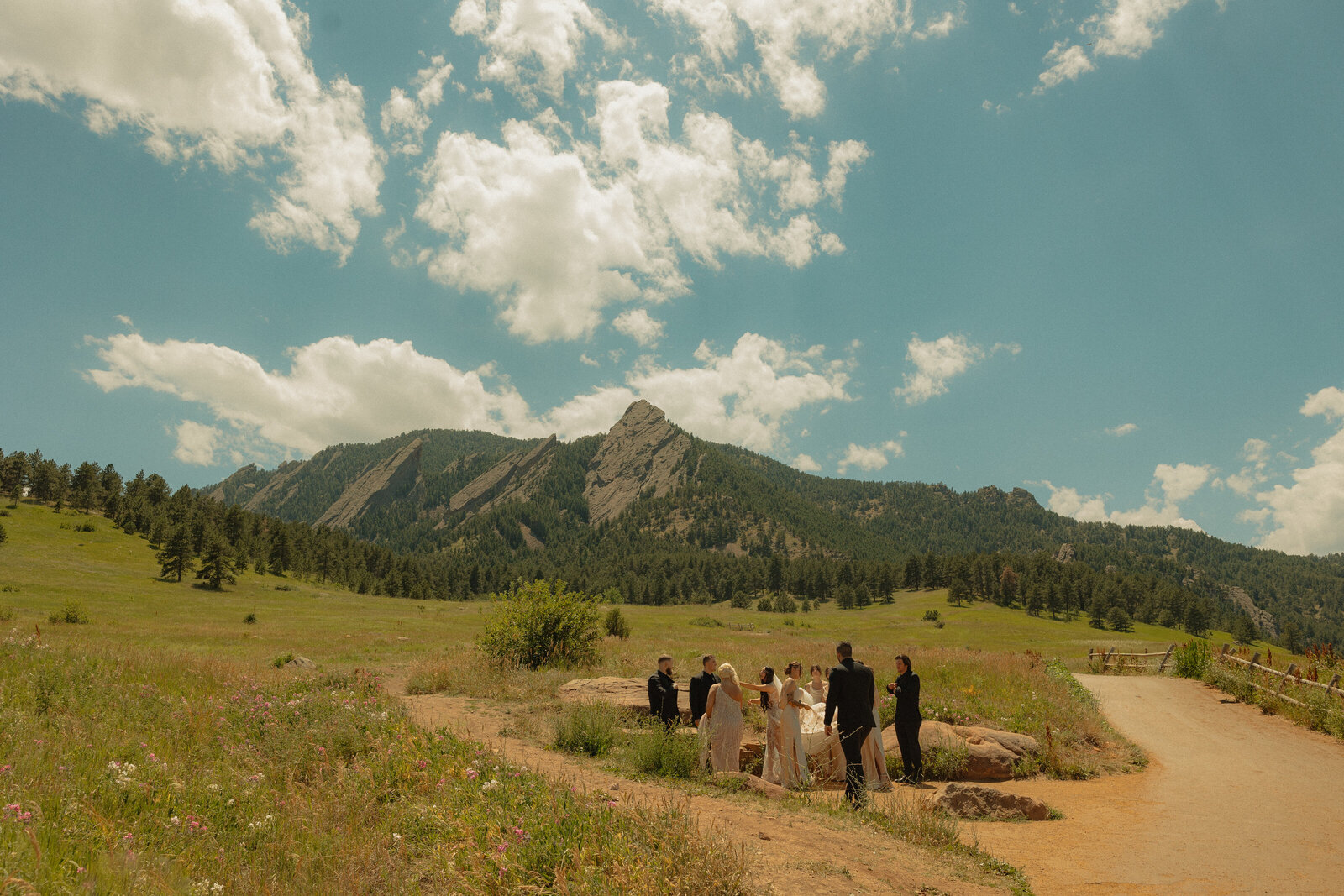 Hannah & Tanner - Sneak Peeks - Payton Hartsell Photography-8