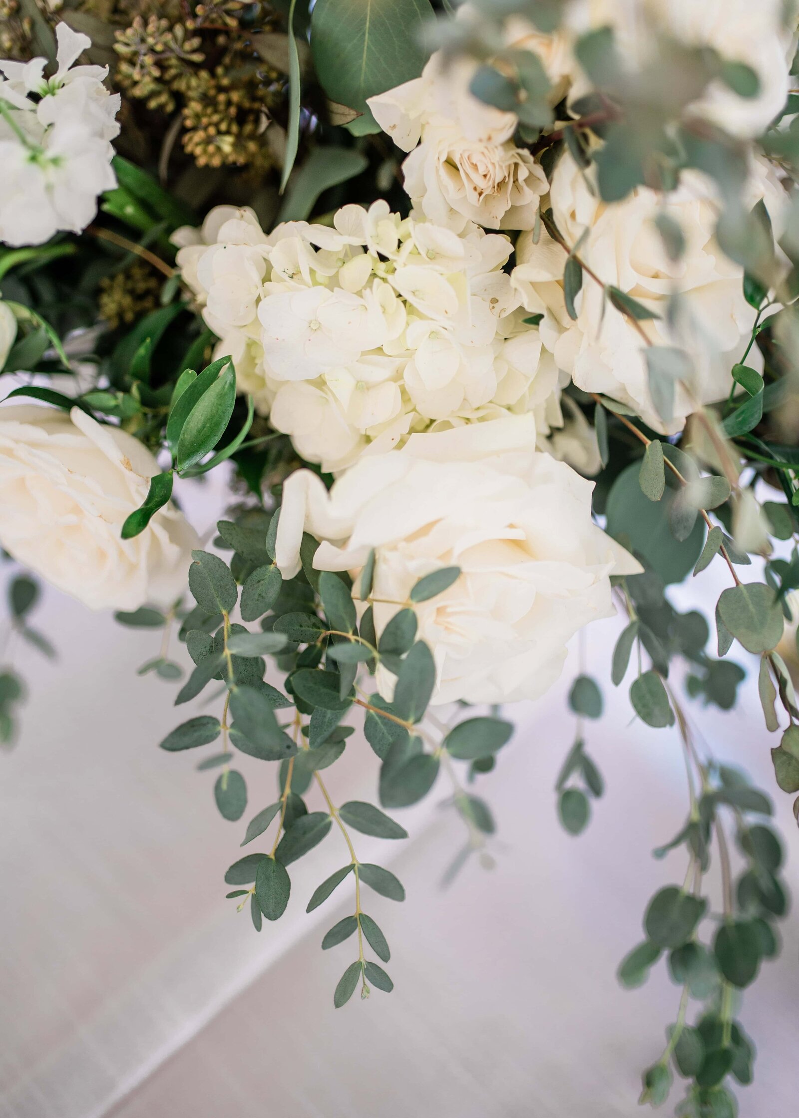 charleston photographers