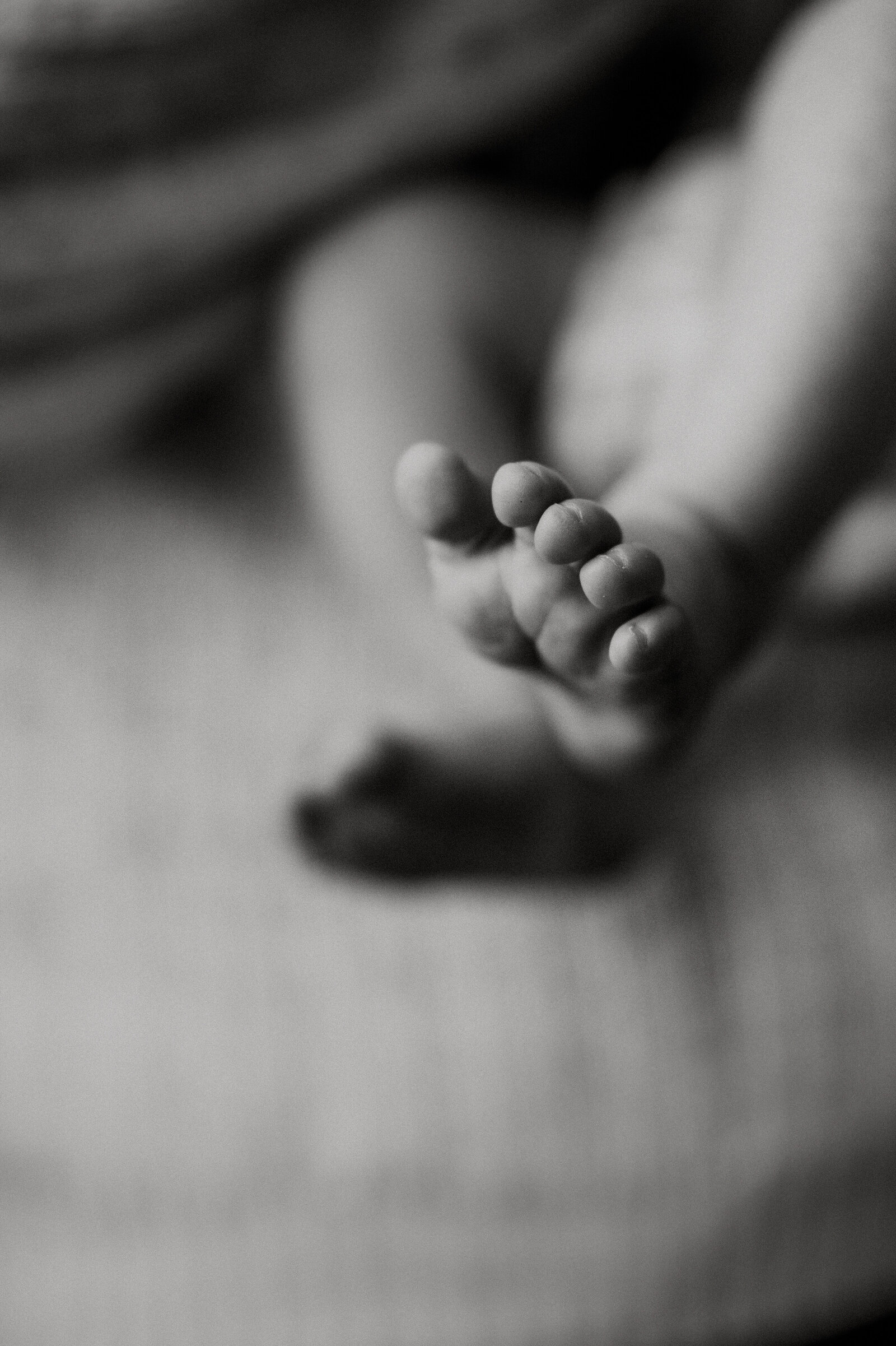 Raylan Roy Newborn_63