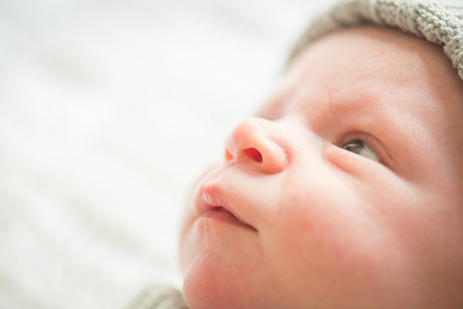 frederick maryland newborn photography--19