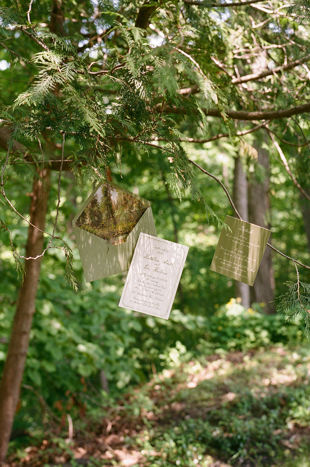 film-2_websize
