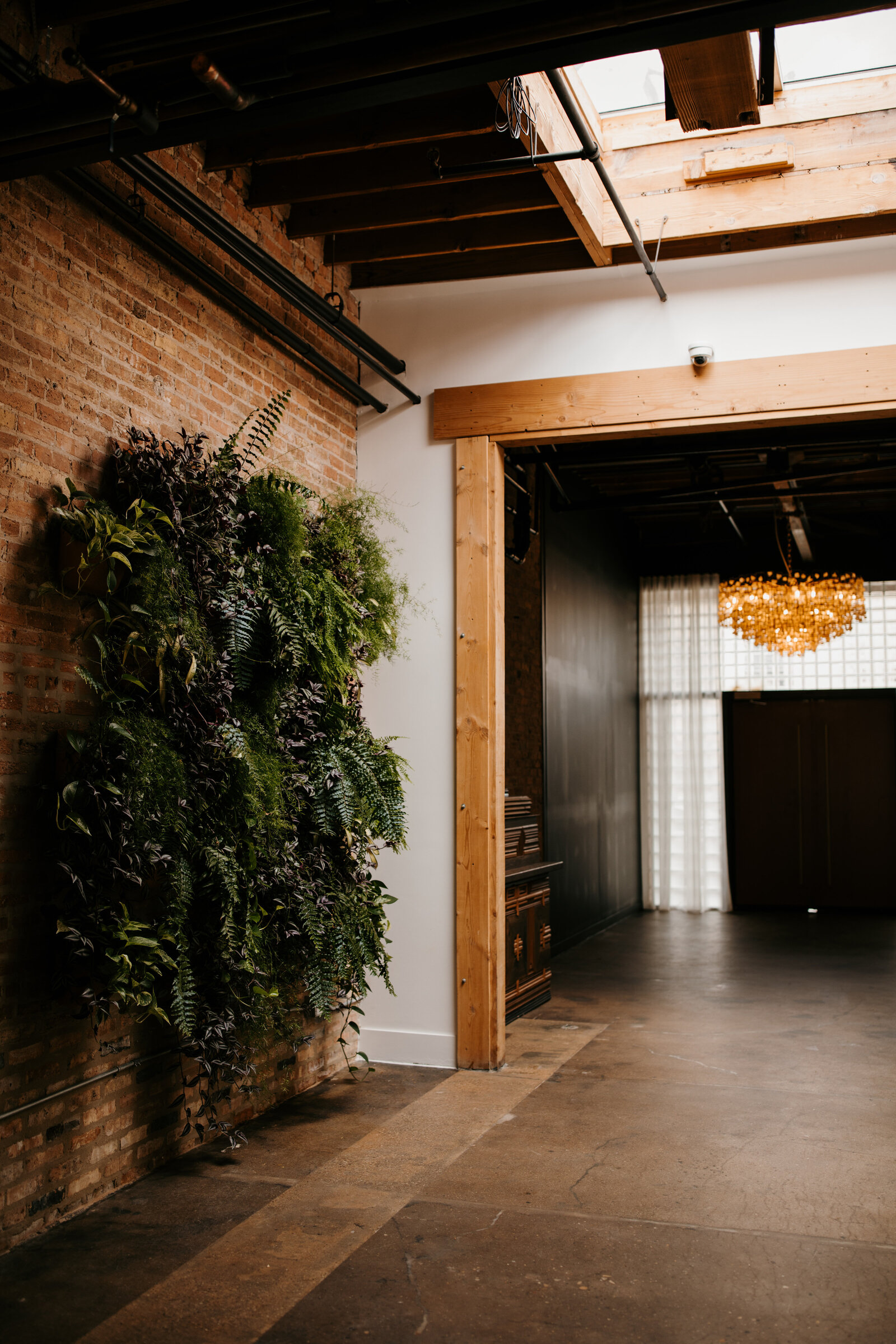 The Arbory Entrance_Chandelier and Living Wall