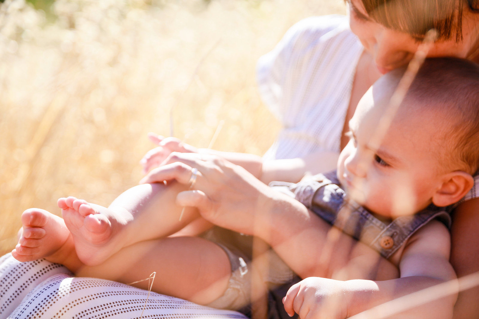 001_families