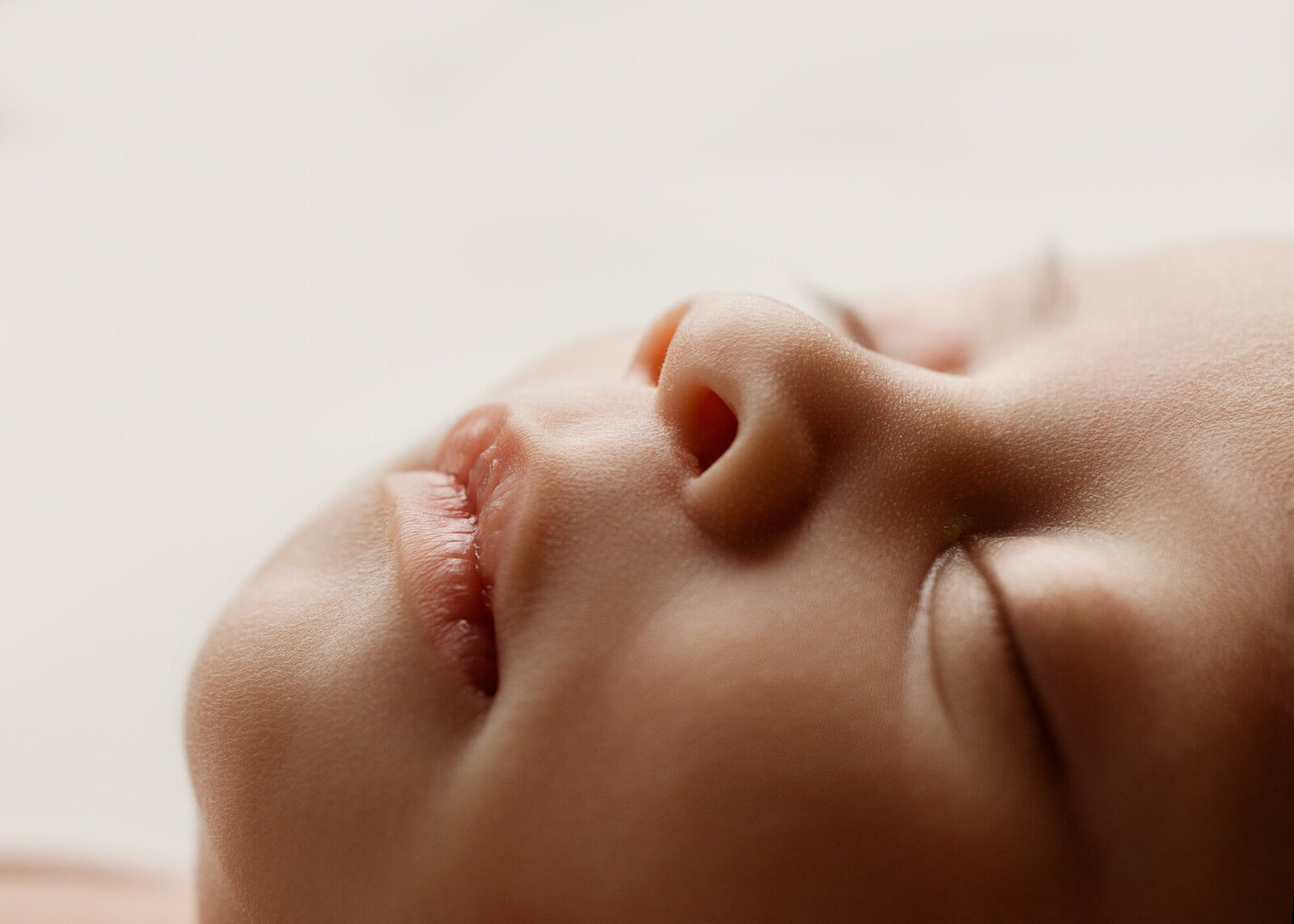 newborn photos clarksville