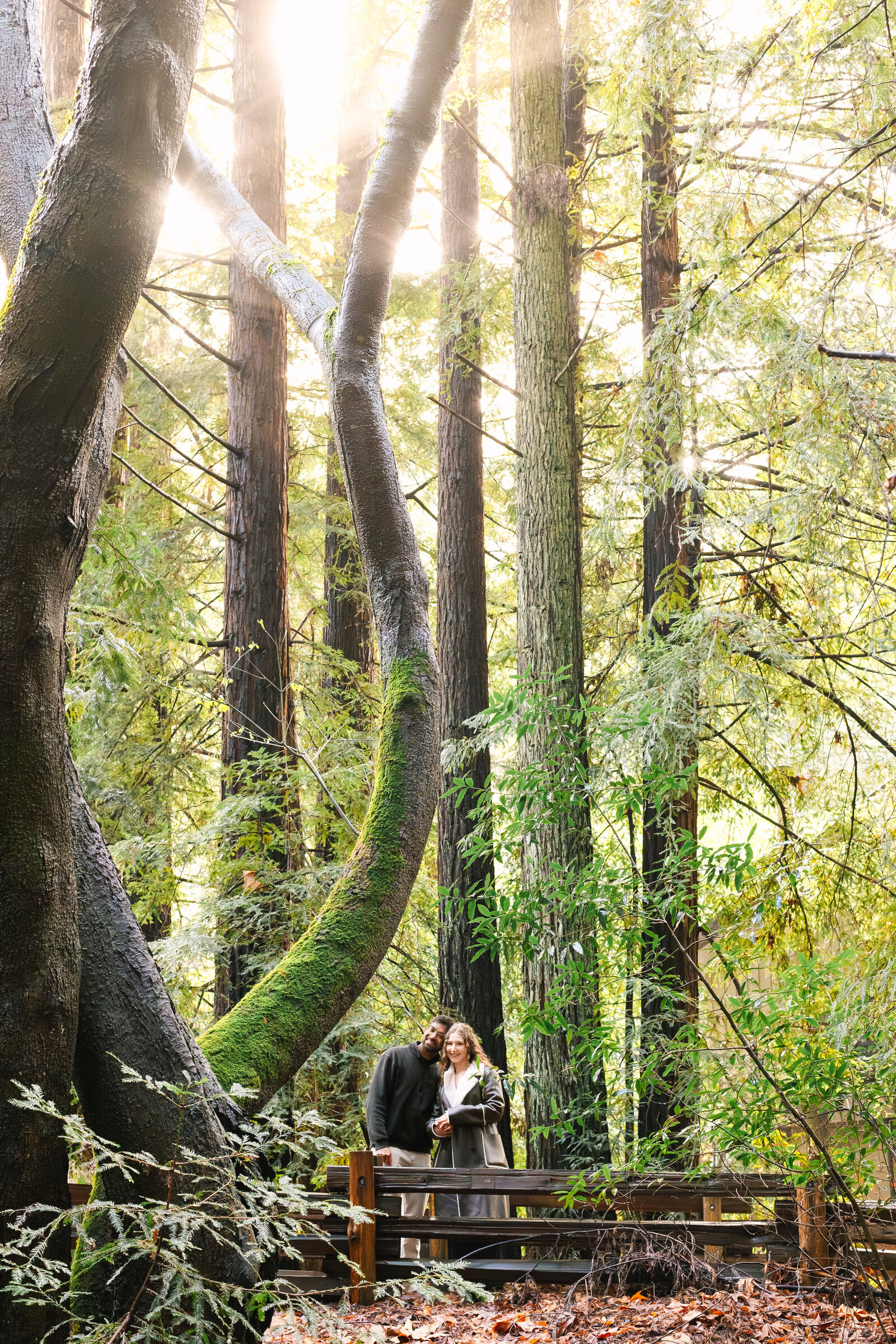 Big Sur Proposal Manjanatha-27