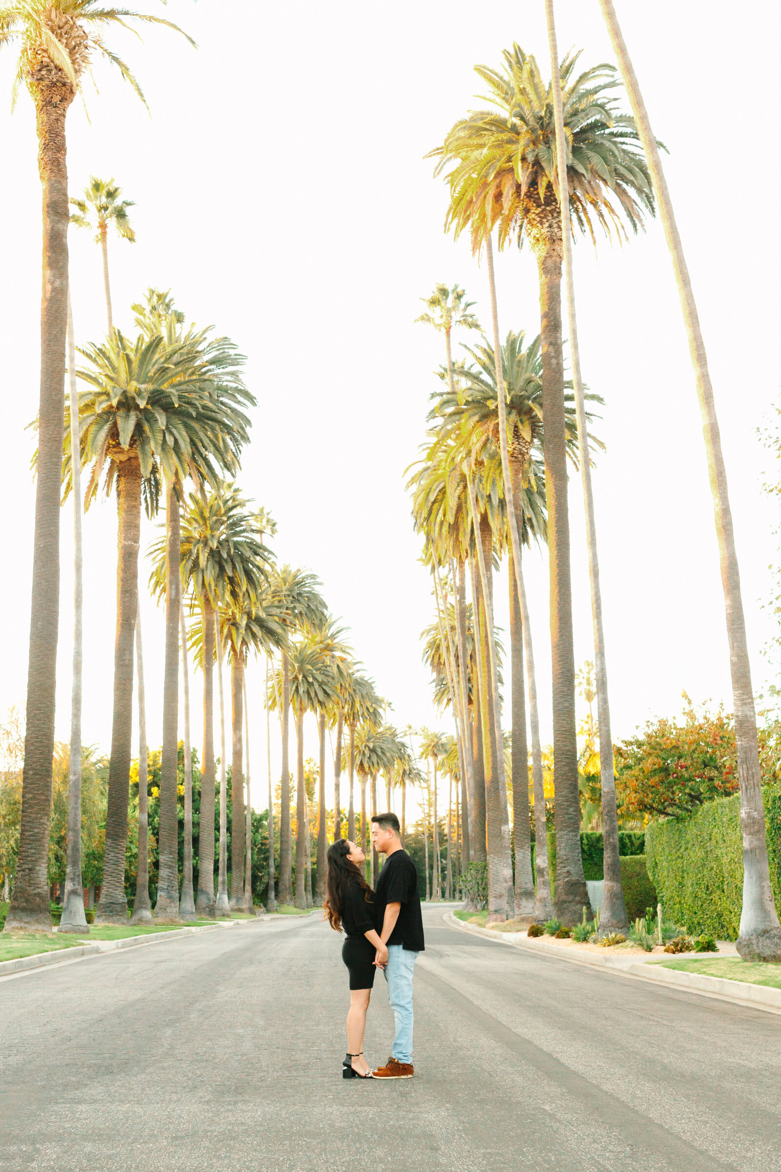 Los Angeles Beverly Hills 14