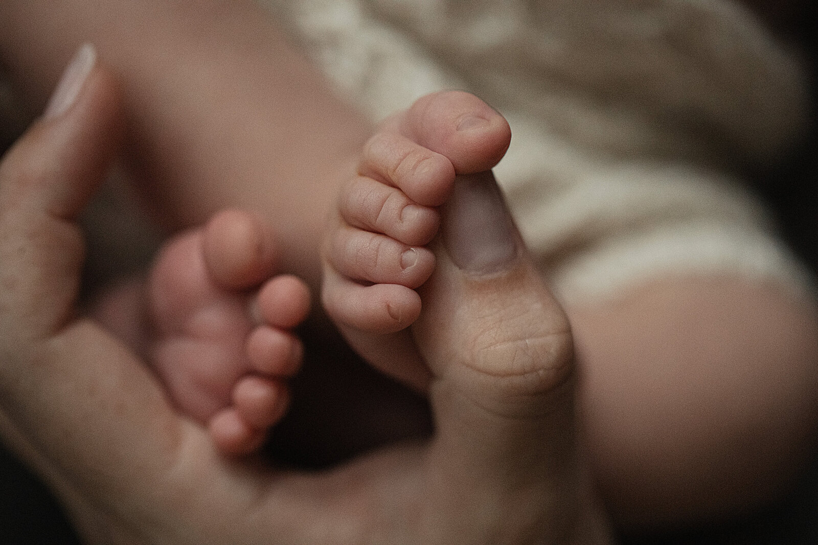 stewart-newborn-051-2