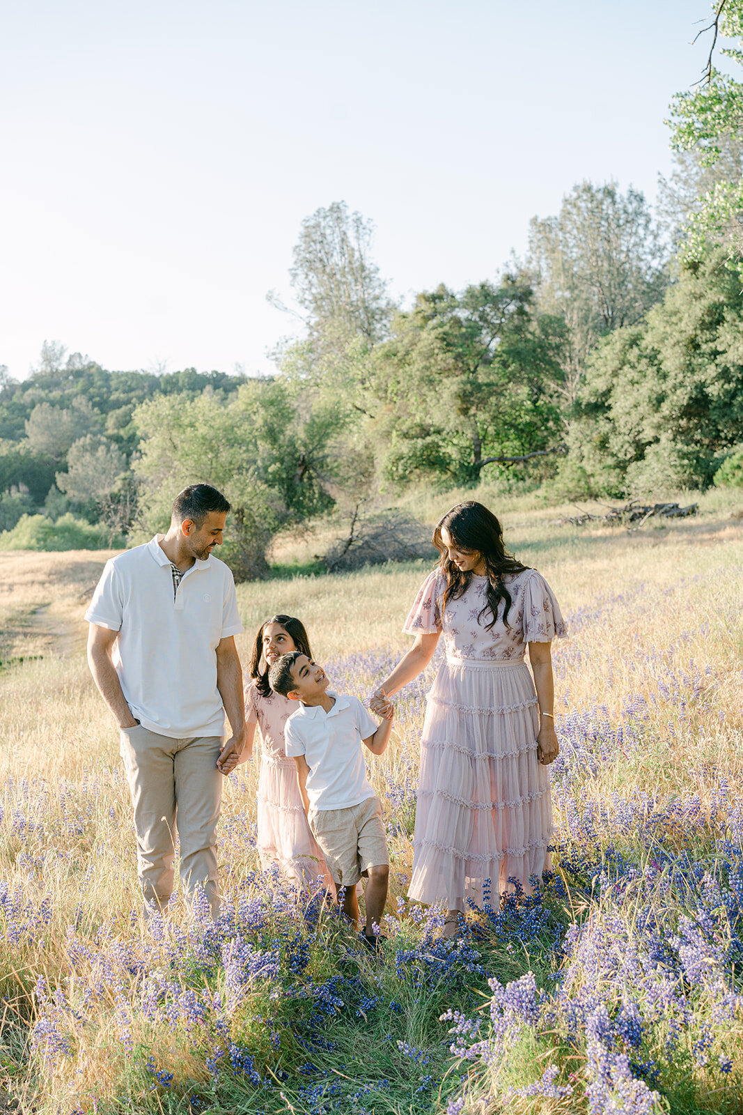 Dhillon Family Mini-60