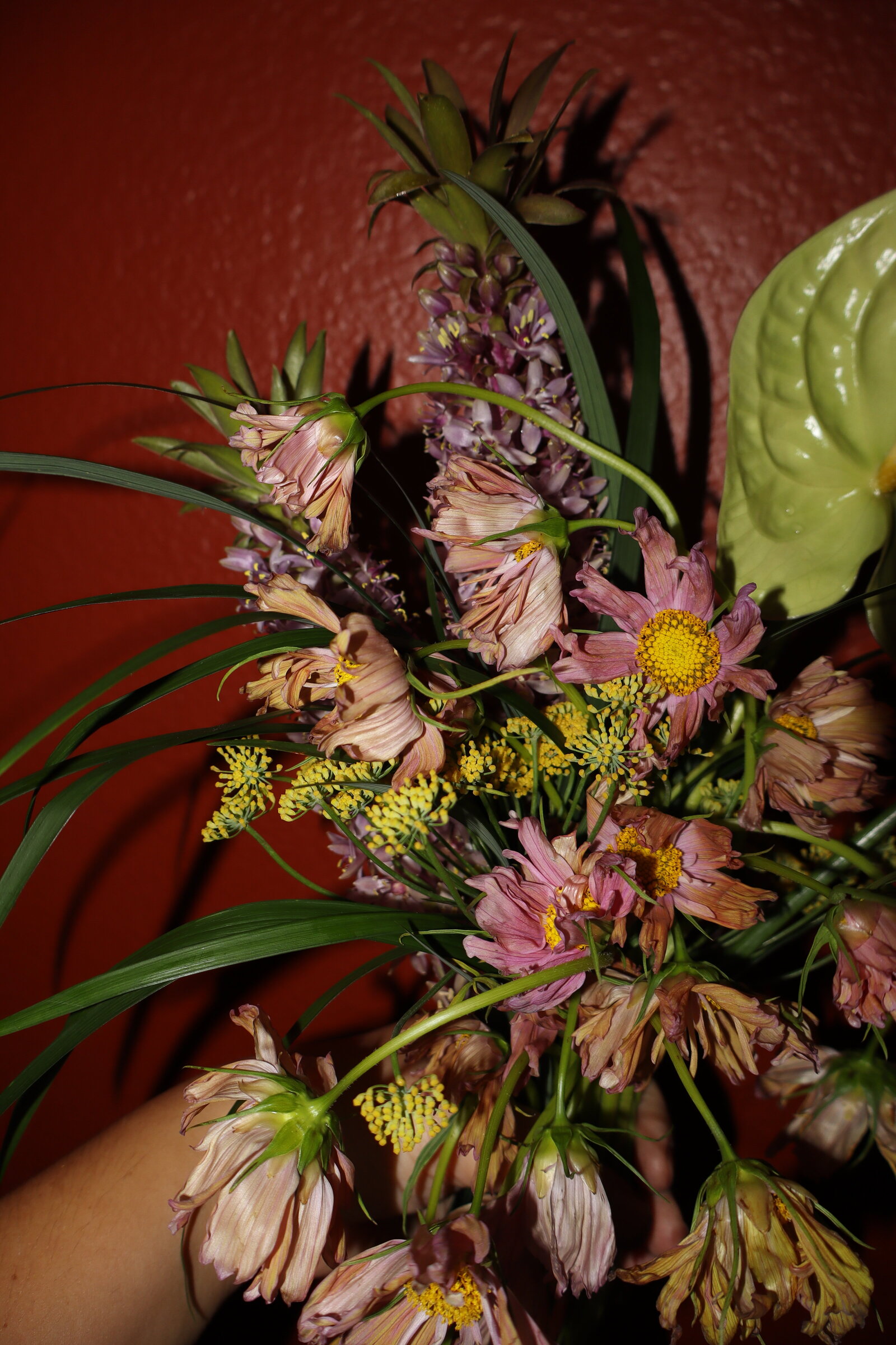 modern-tropical-arizona (24)