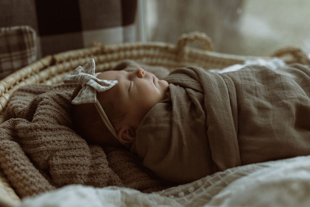 AbigailElizabethPhoto-3860
