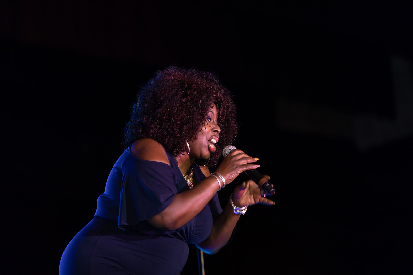 Dauphin County Cultural Fest 2018 (248 of 365)