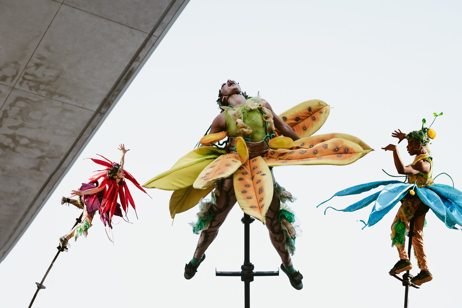 three artists on swaypoles