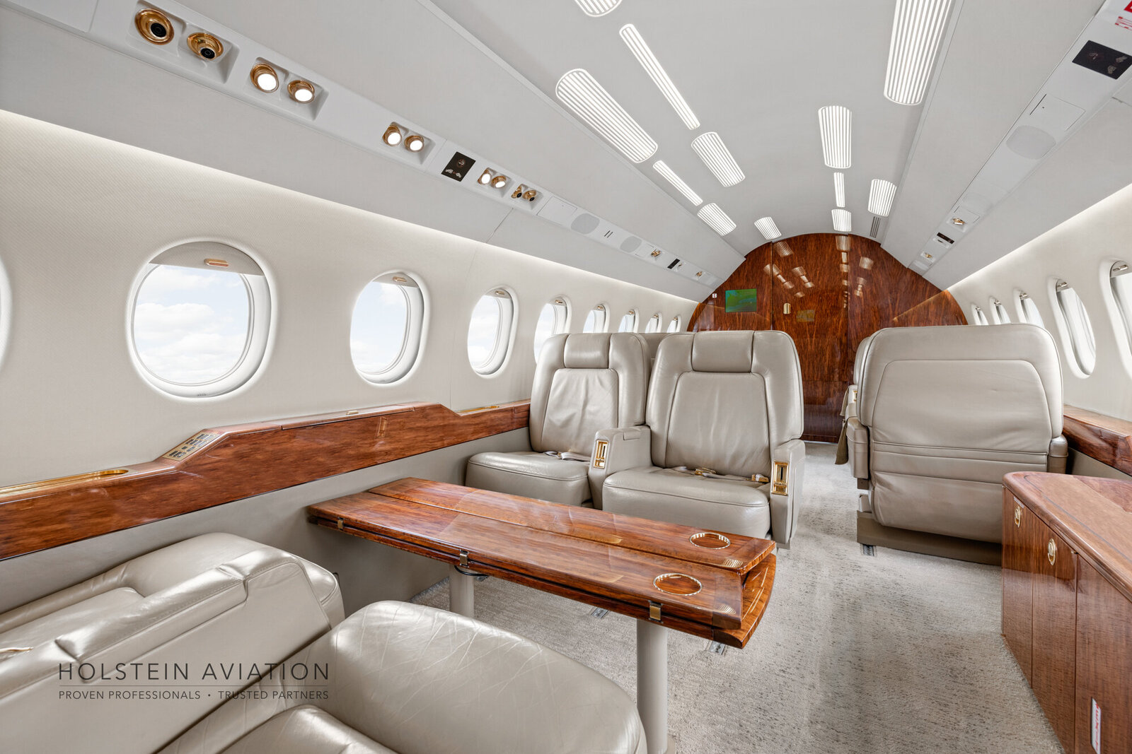 Falcon 2000 Watermarked-4