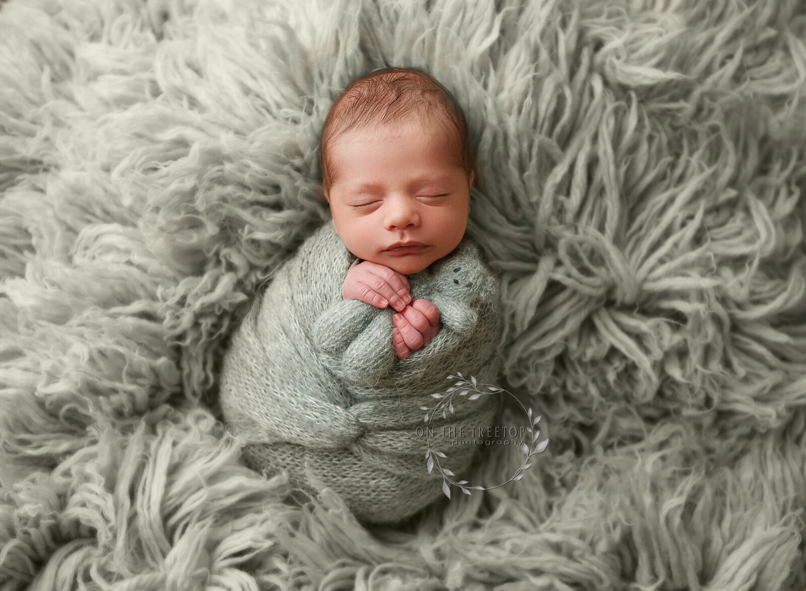 Burbank-newborn-baby-photographer