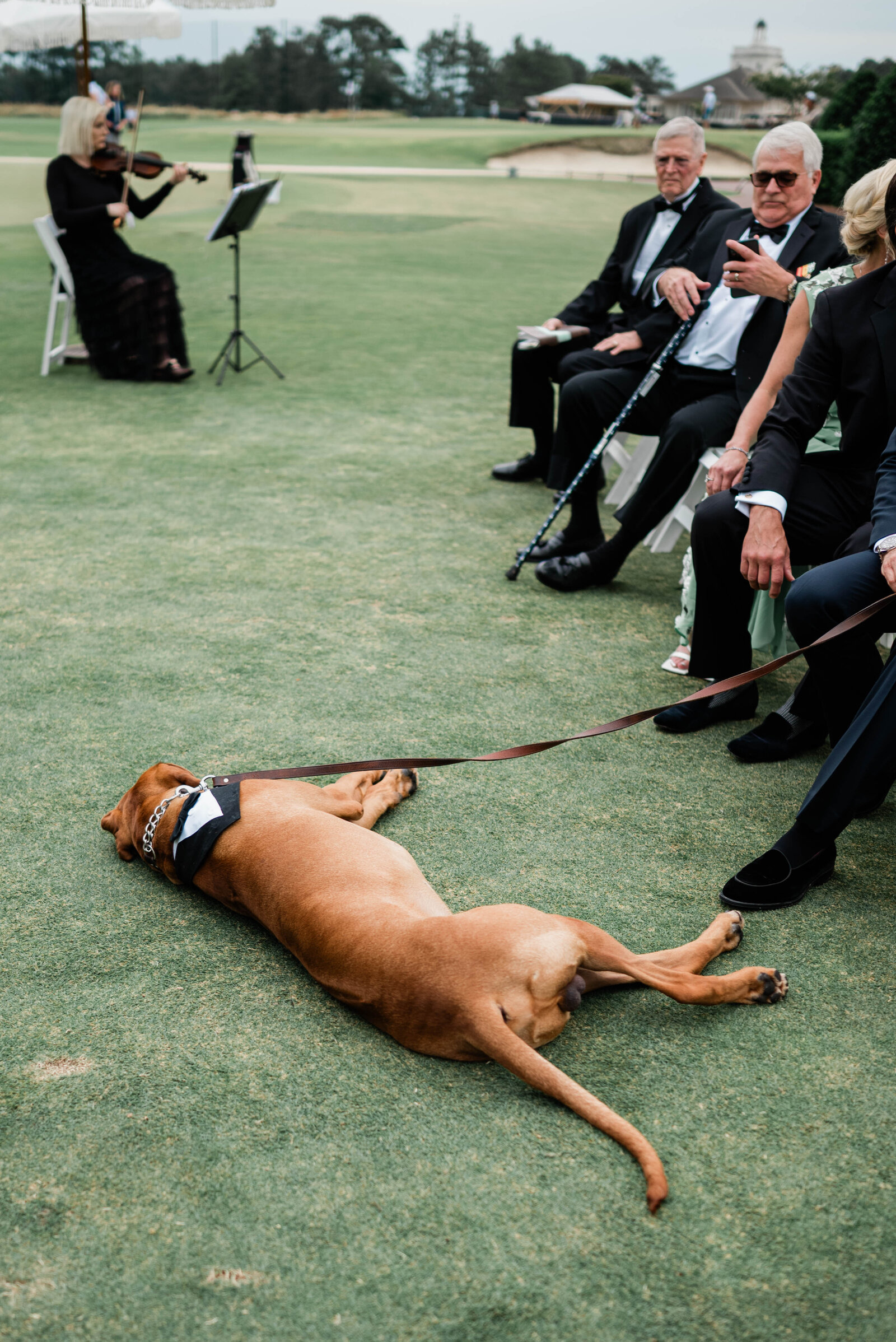 Gerlinger-Wedding-364