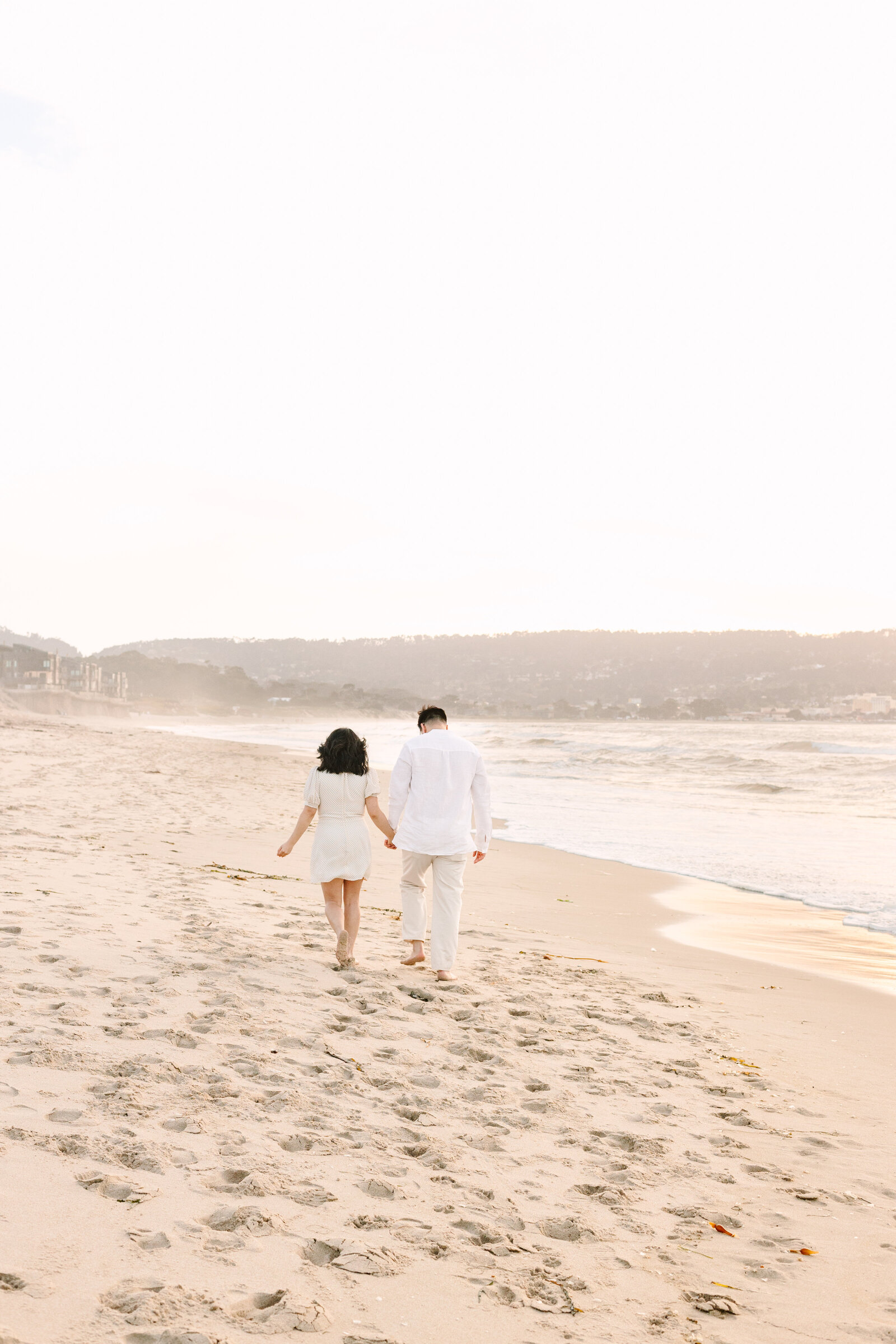 Seaside Monterey Beach Proposal 28