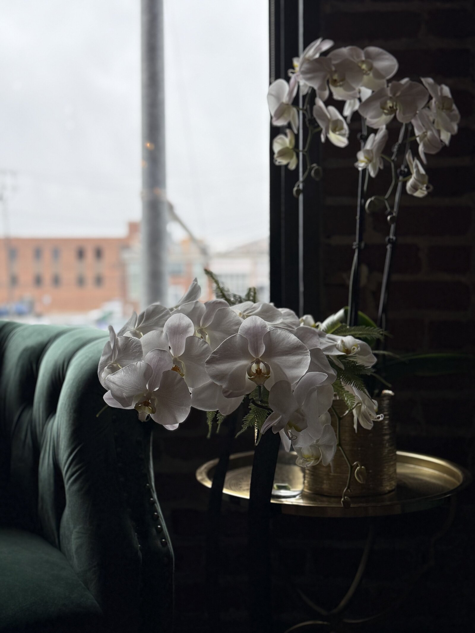 Florals in the window