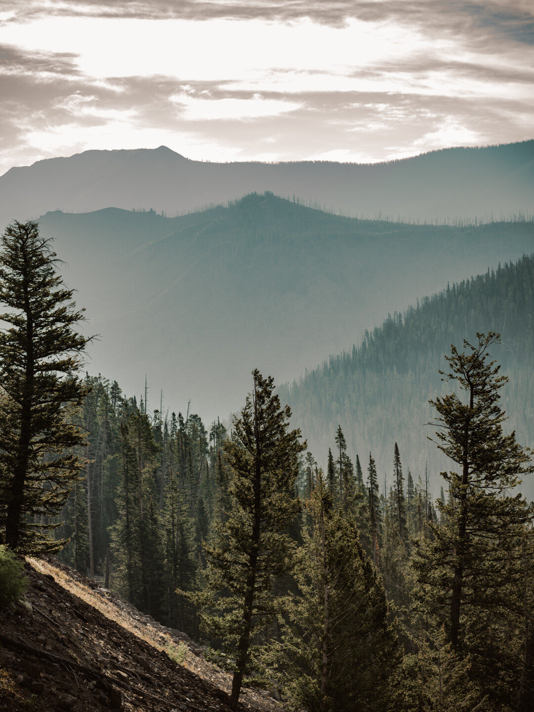 Resolute Territory - Landscape Art Prints - 13