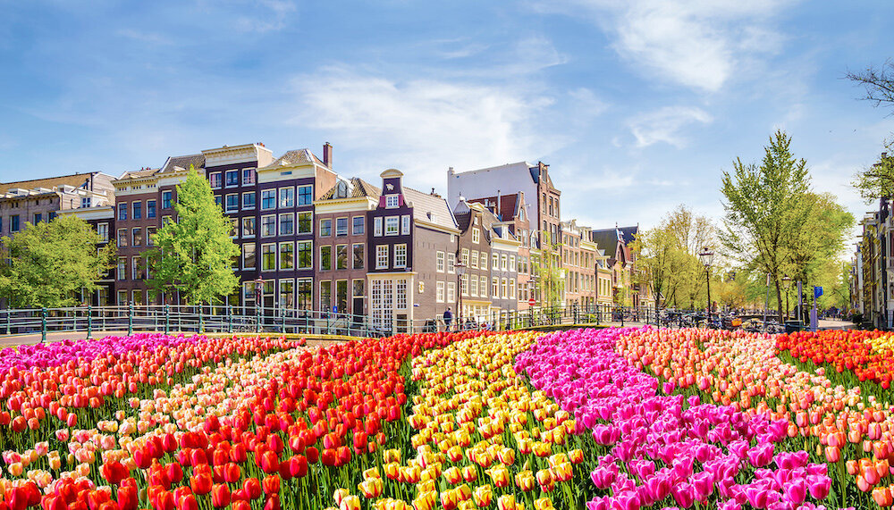 Amsterdam, The Netherlands_2024-01-08_00-18-52
