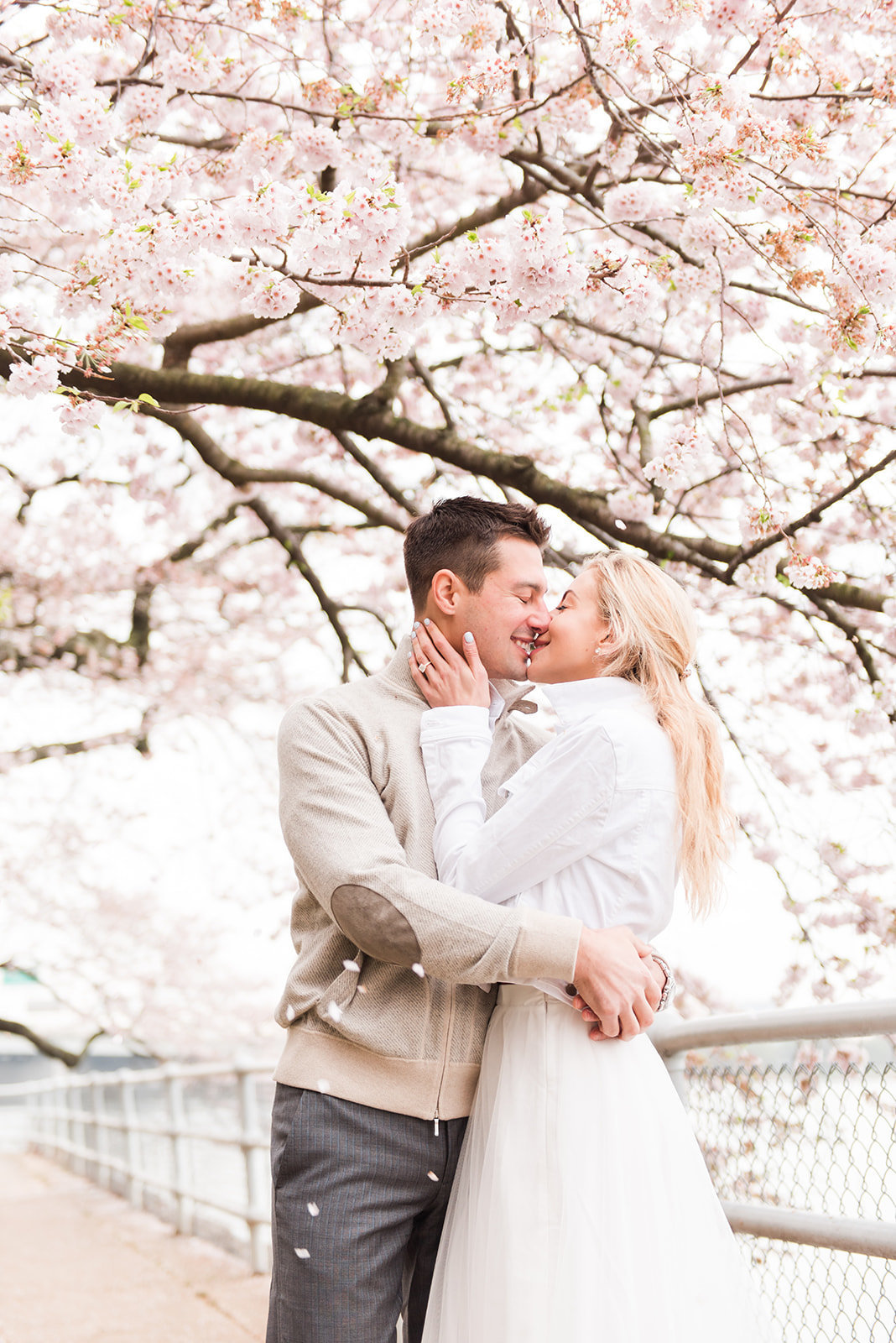 WASHINGTON_DC_CHERRY_BLOSSOMS_L+EJOFFOTO_-118