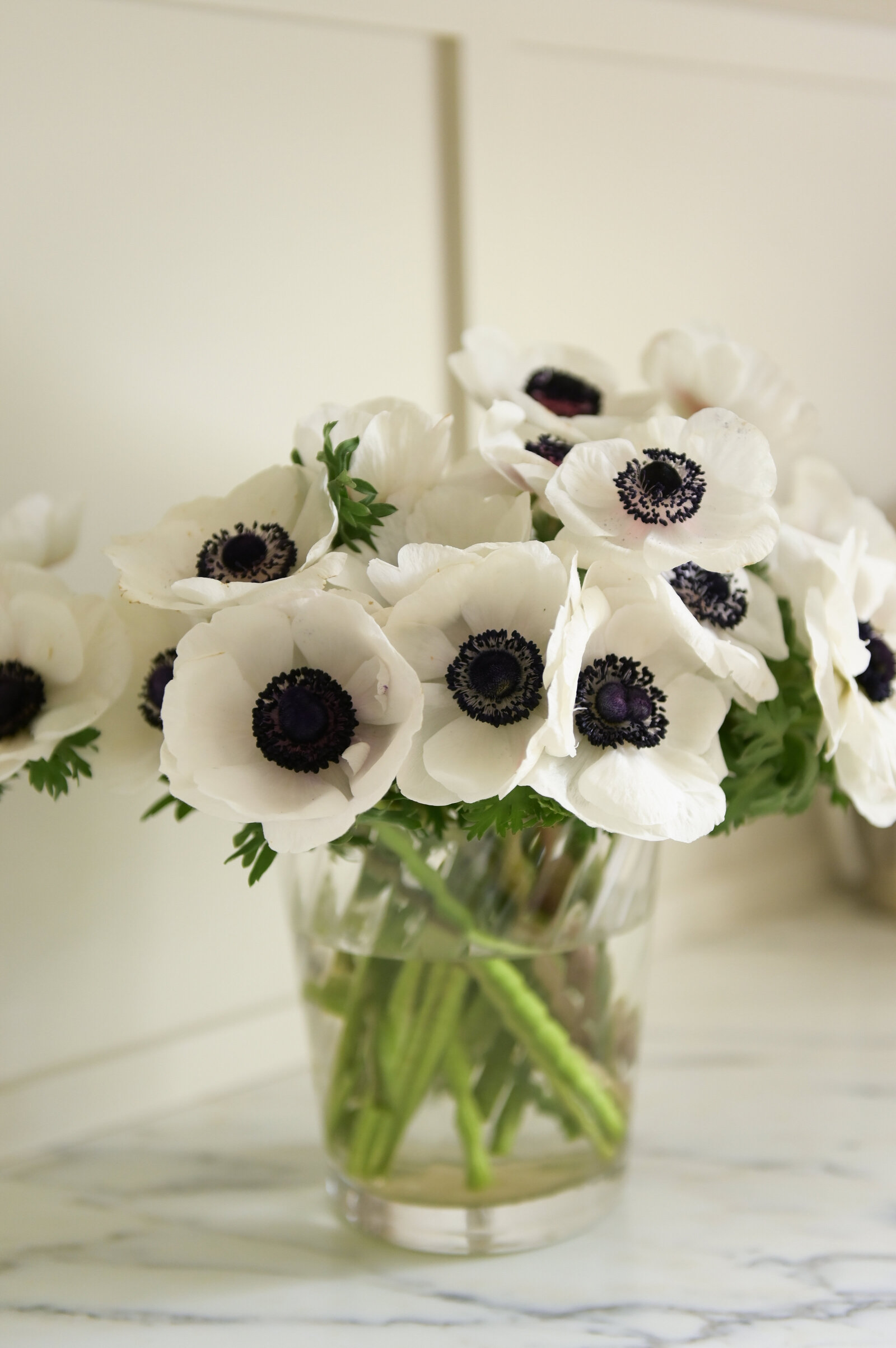 Westside Heritage (9)