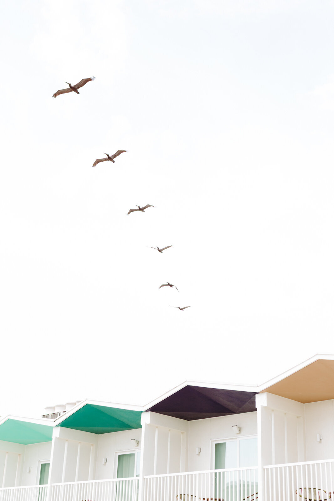 galveston-texas-hotel-lucine-danielle-motif-3