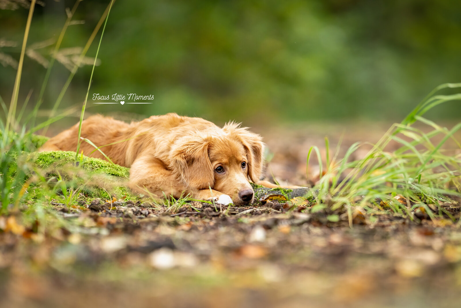 _DSC4883-bewerkt