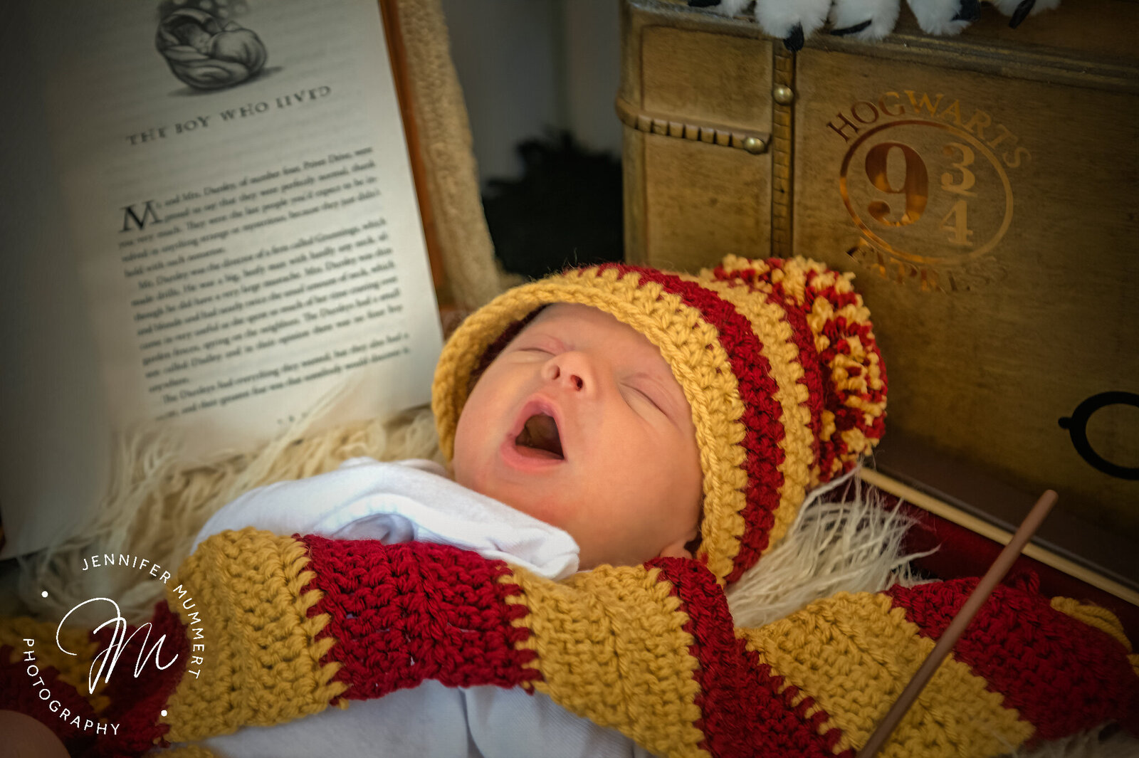 Harry Potter themed newborn session