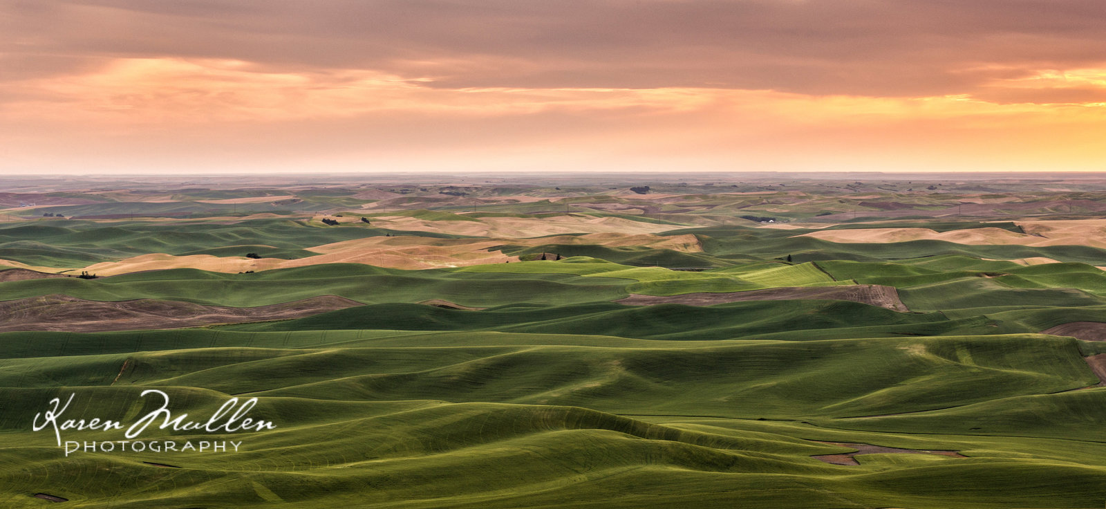 view from Steptoe Butte