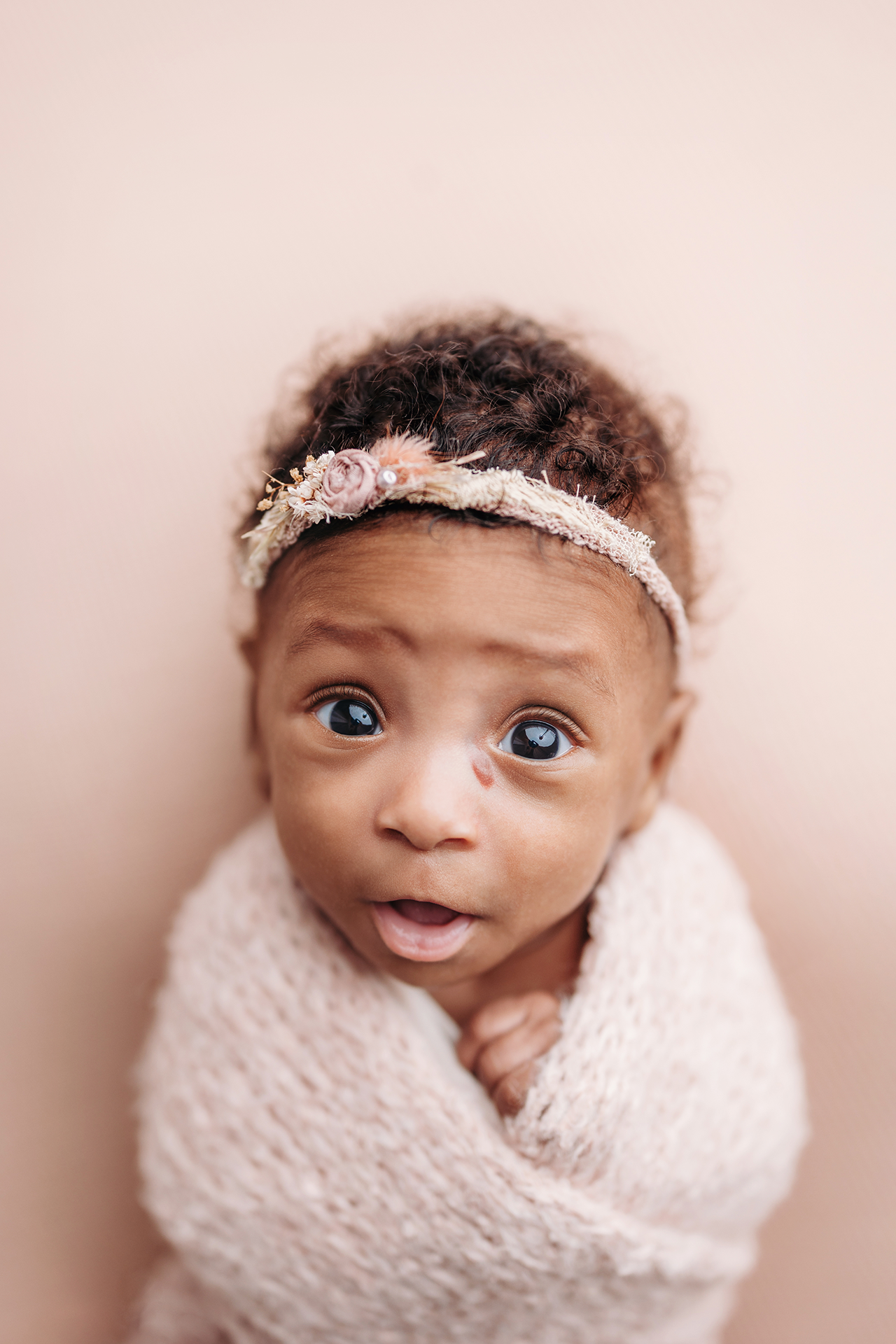 memphis newborn photography by jen howell 57