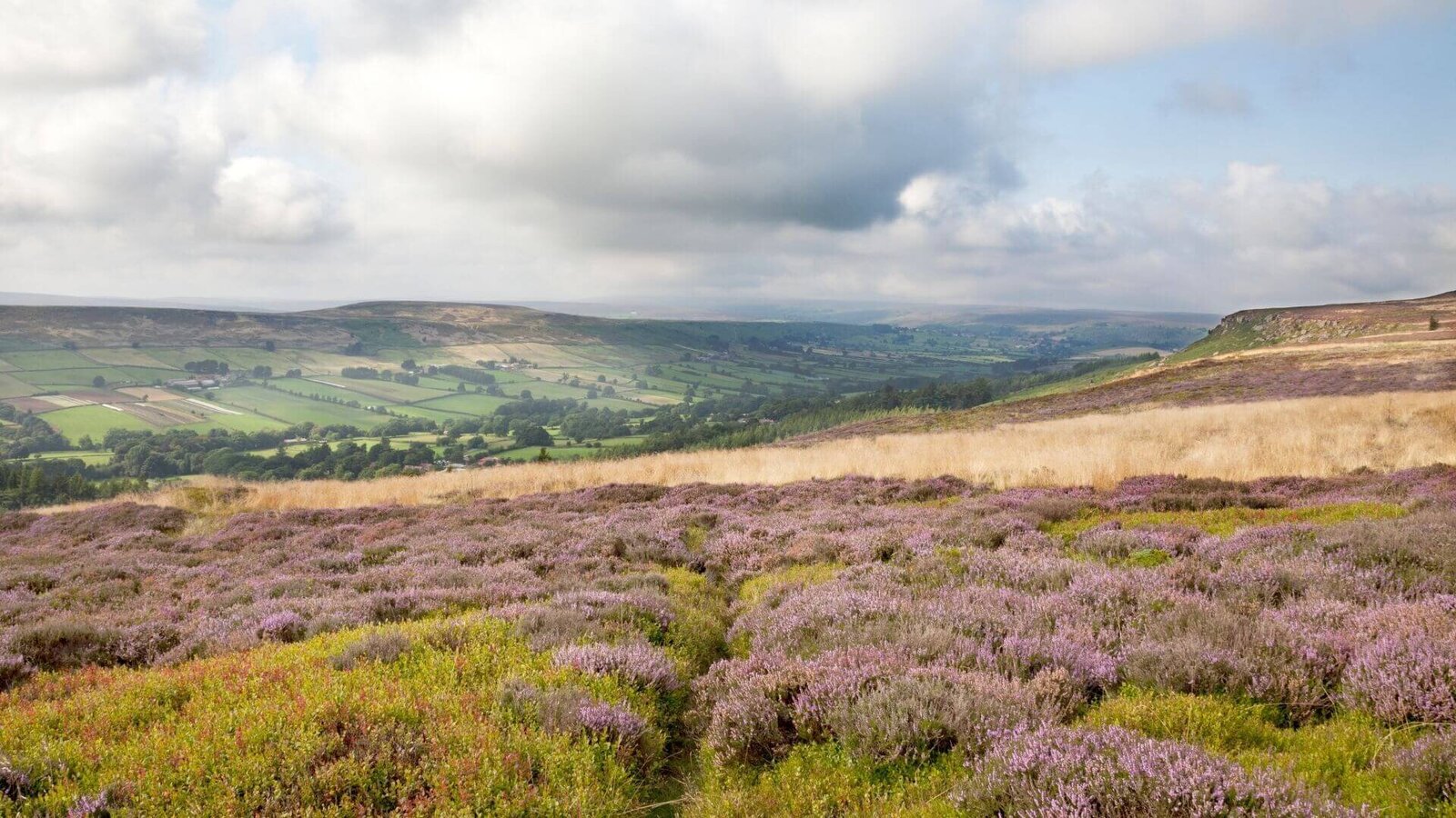 North York Moors