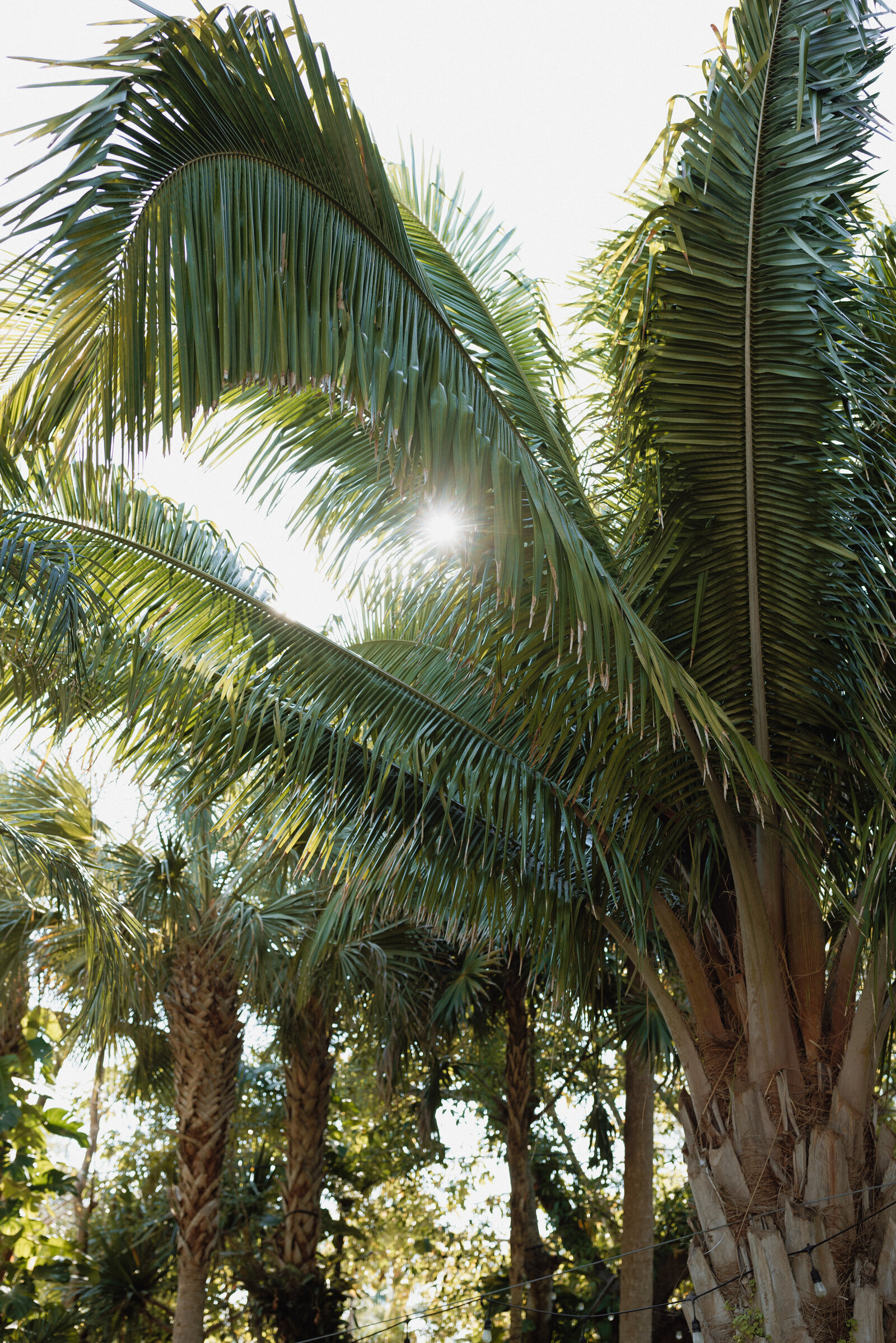 Florida Portfolio-Baylie Krutchik Photography-086
