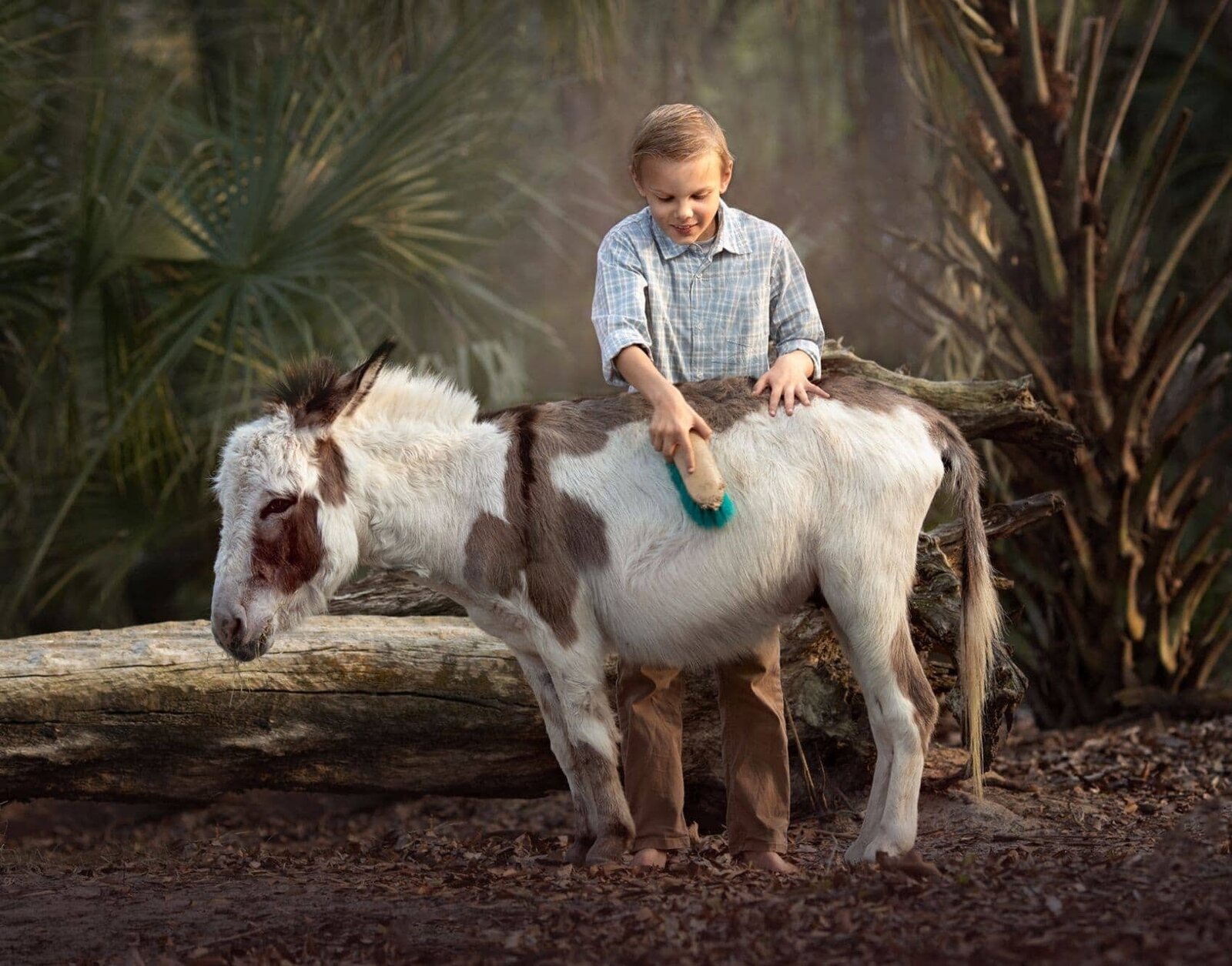 lilla-bordas-portraits-tampaKIDS-AND-PETS-photographer1818_1
