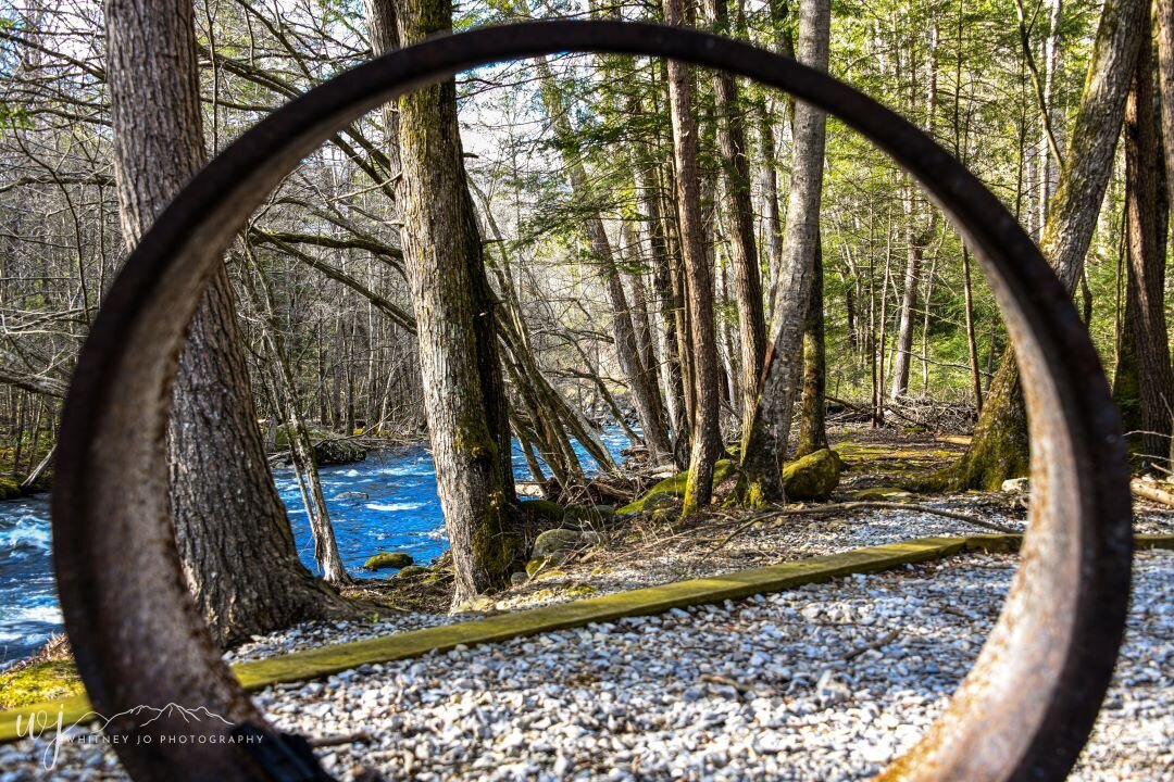 Elkmont Great Smoky Mountains