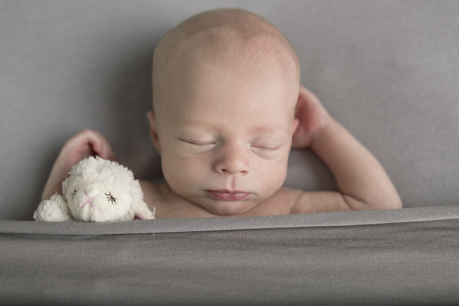 newborn-snuggle-lamb