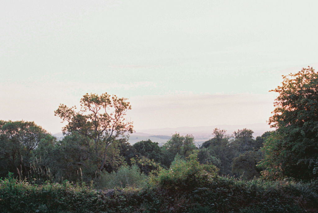 Writer&BelovedPhotography-62