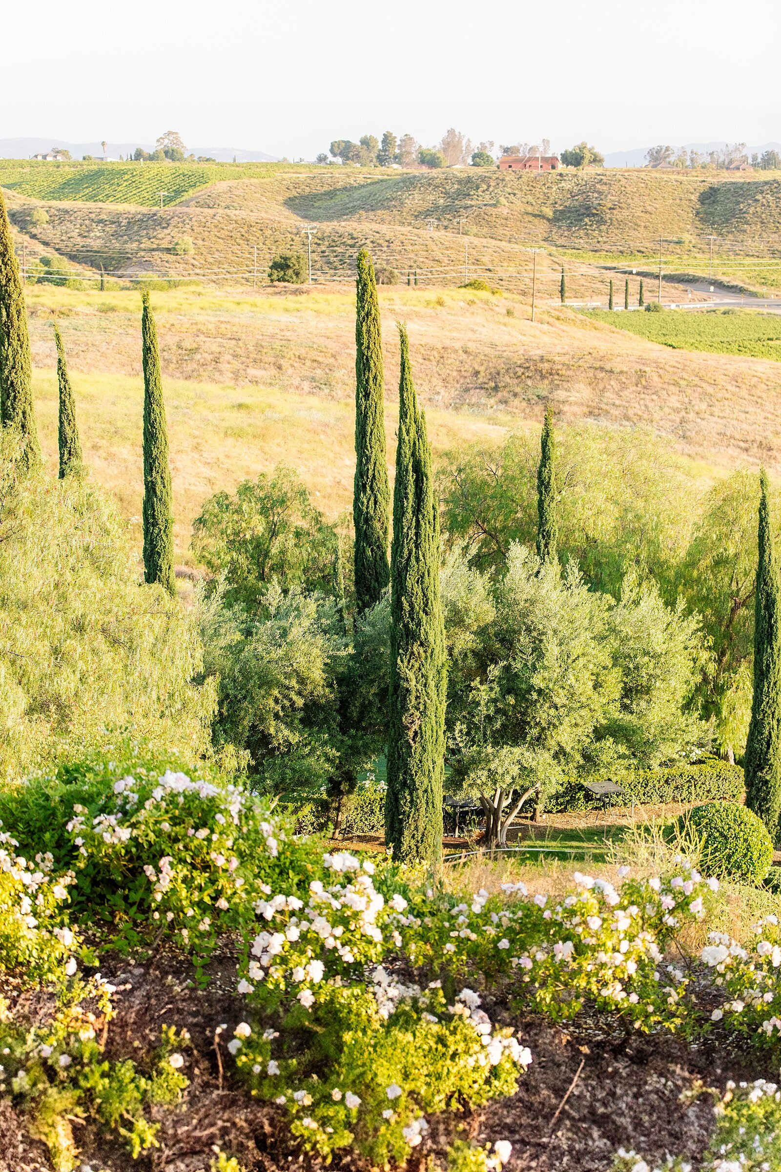 Wedding venue, South Coast Winery in Temecula, California.