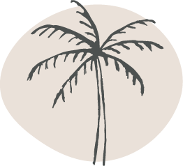 ks-gray-photography-icon-palm-tree-blush-background-full-color-rgb-900px-w-72ppi