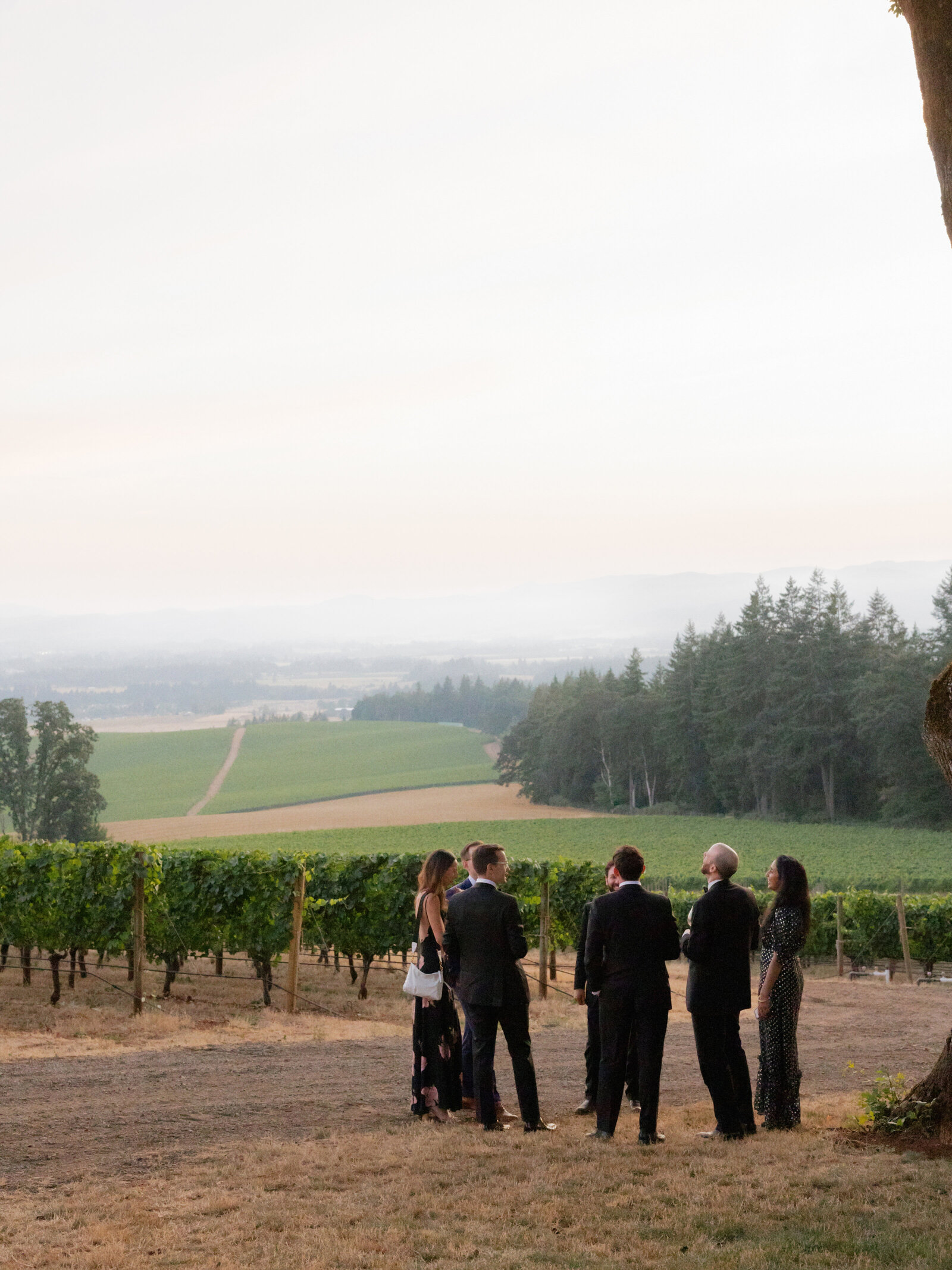 Santa_Barbara_Wedding_Photographer_Kateson-30