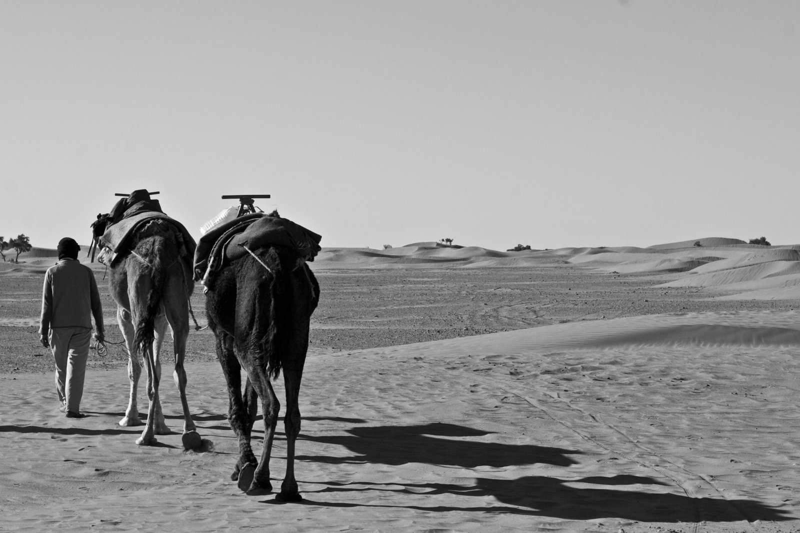 Travel Photographer