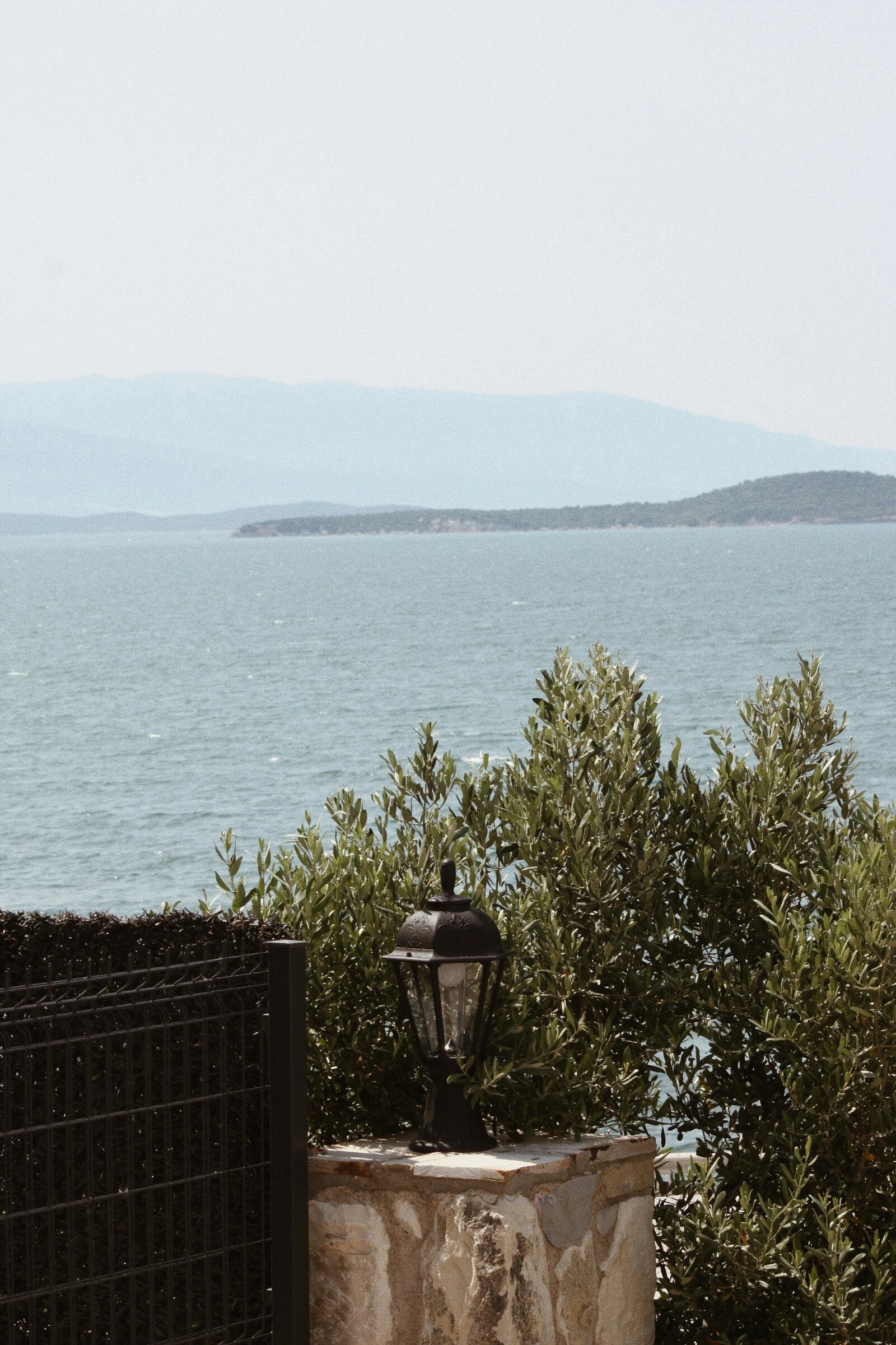 pexels-hacer-ruşa-altınkaynak-17438733