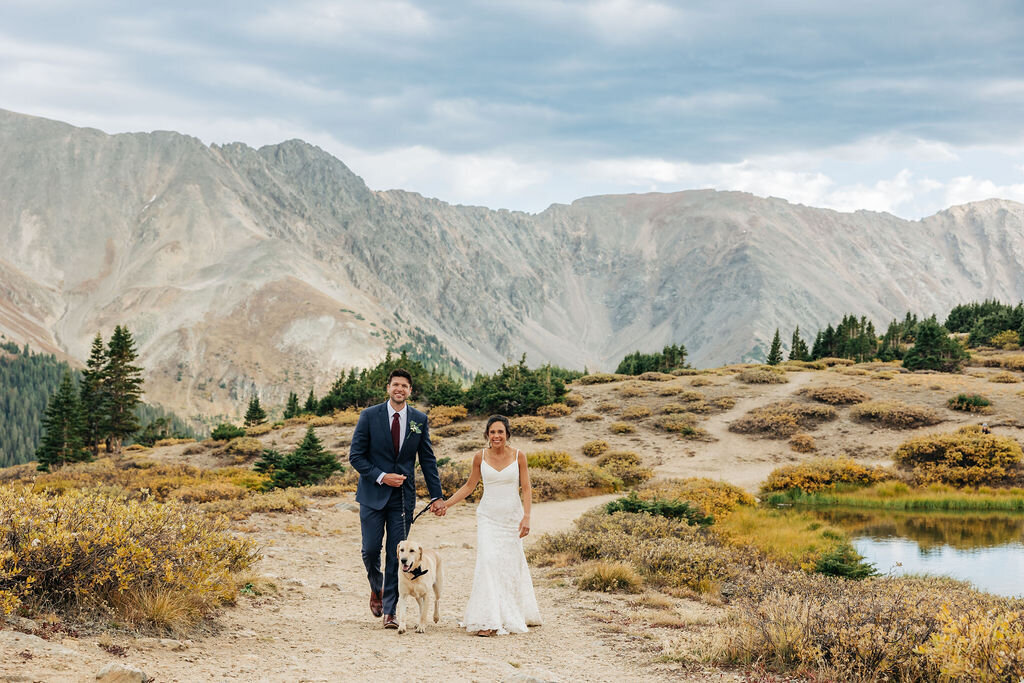 Wedding Photographer Boulder Colorado captures bride and groom walking dog