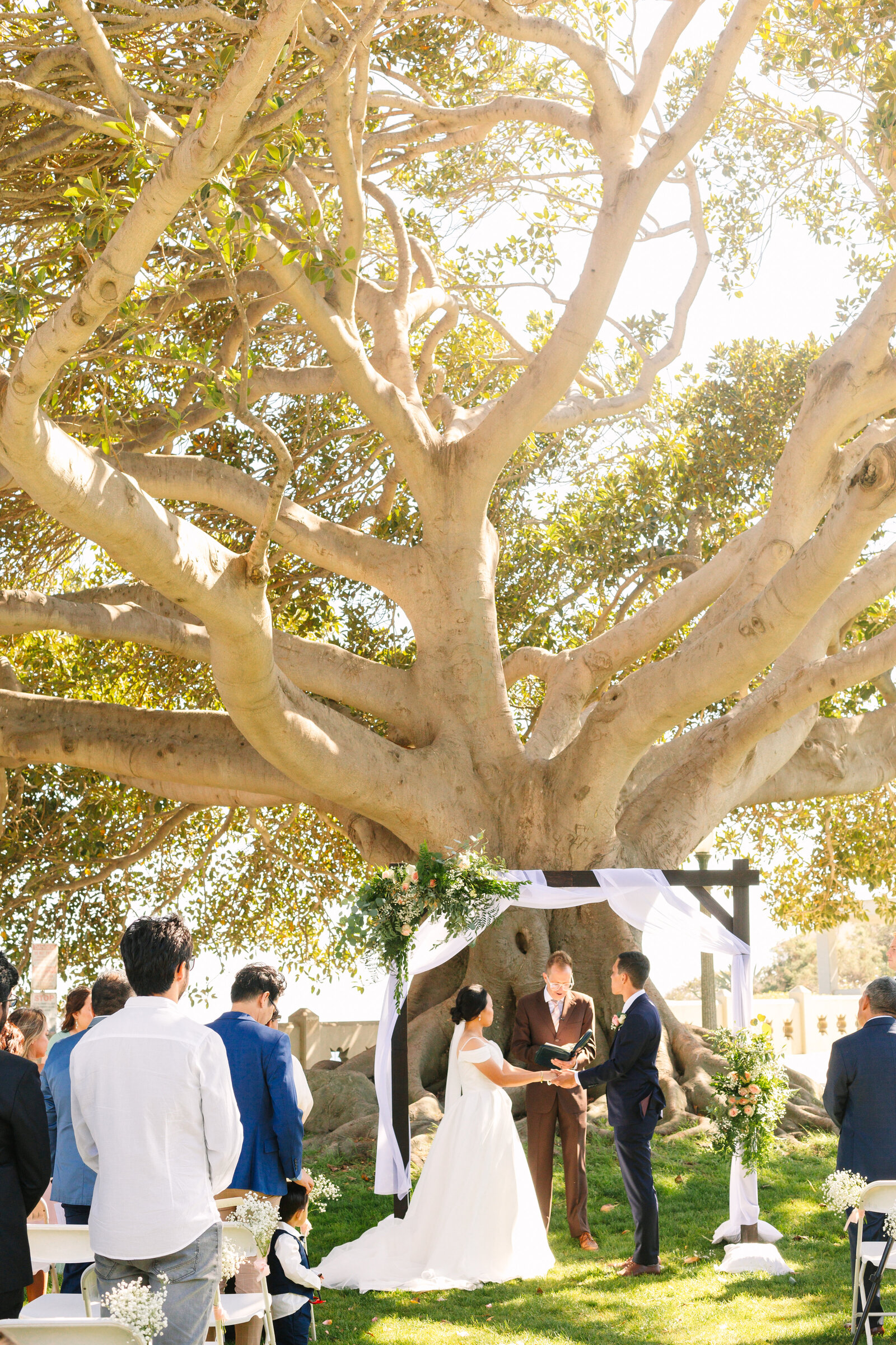 A wedding ceremony underneath a large tree in Los Angeles, Ca.