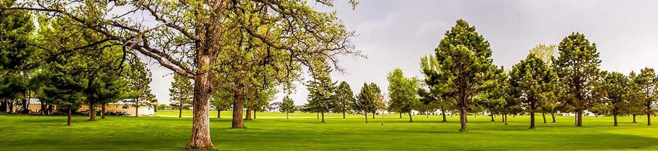 oaks-golf-course-hayfield-mn