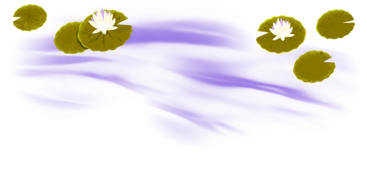 Lily pad illustration