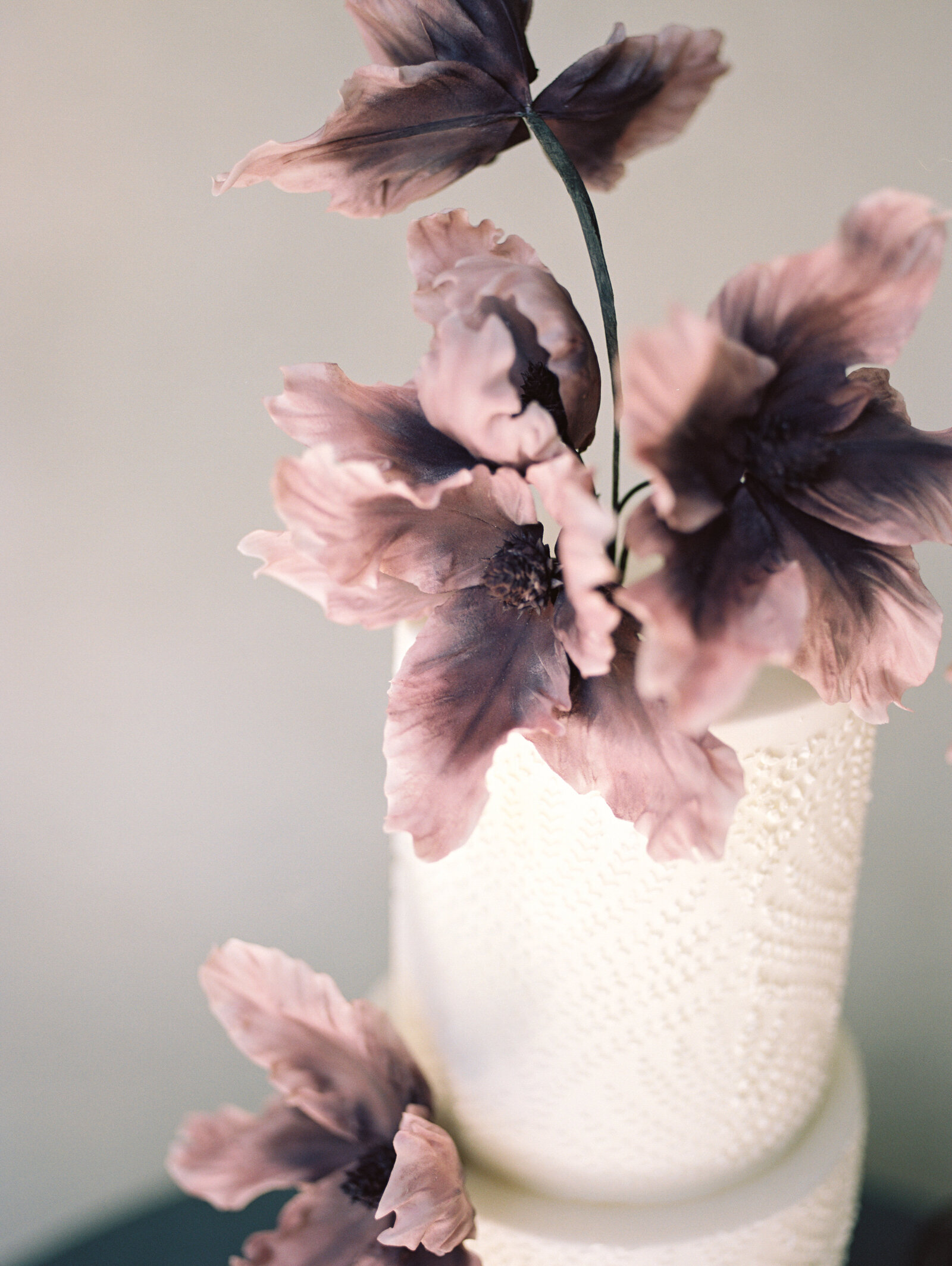 19498CCsmi100711-R5-077-2