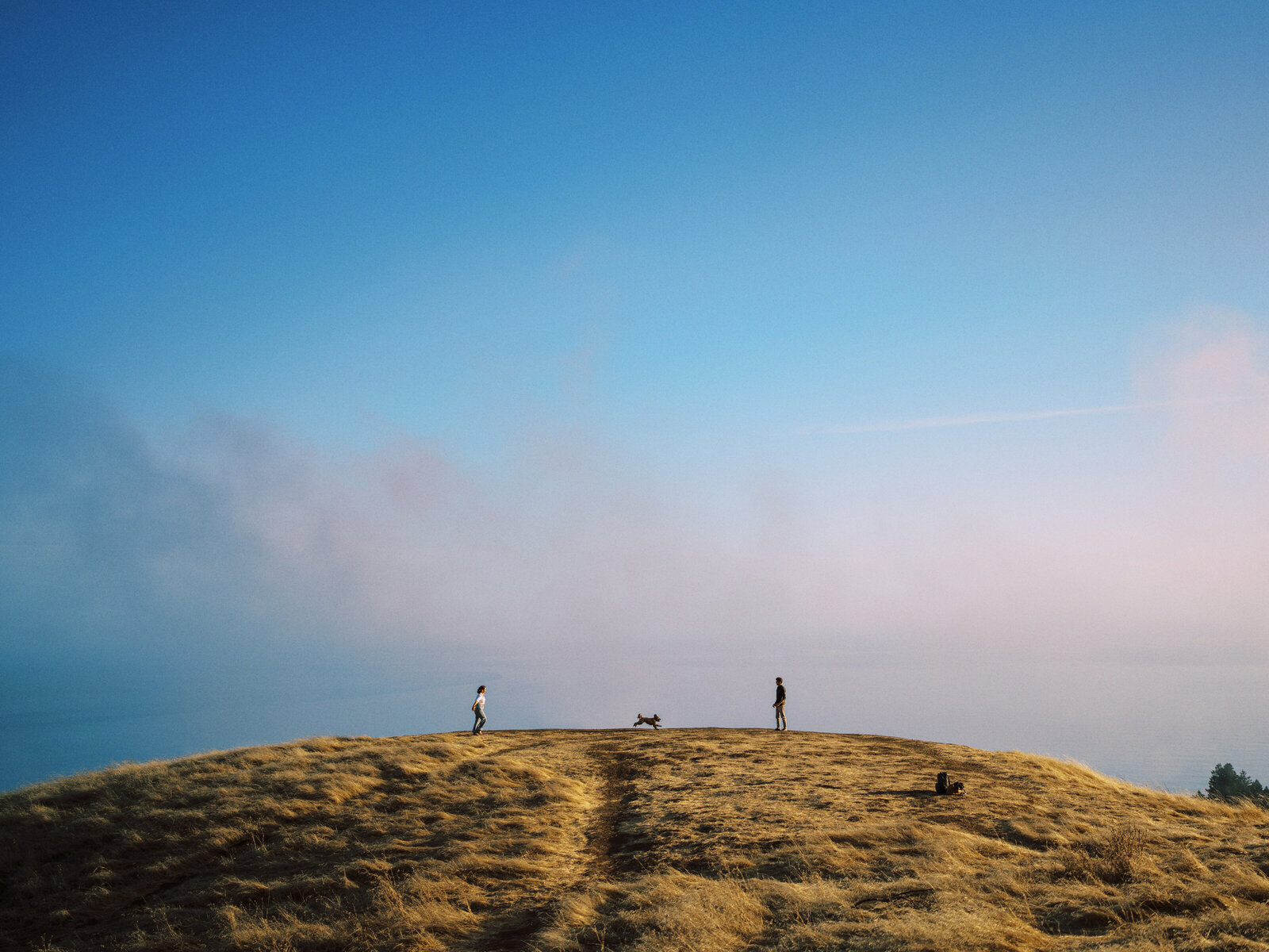 lauren lee photography Mt. Tamalpais engagement session