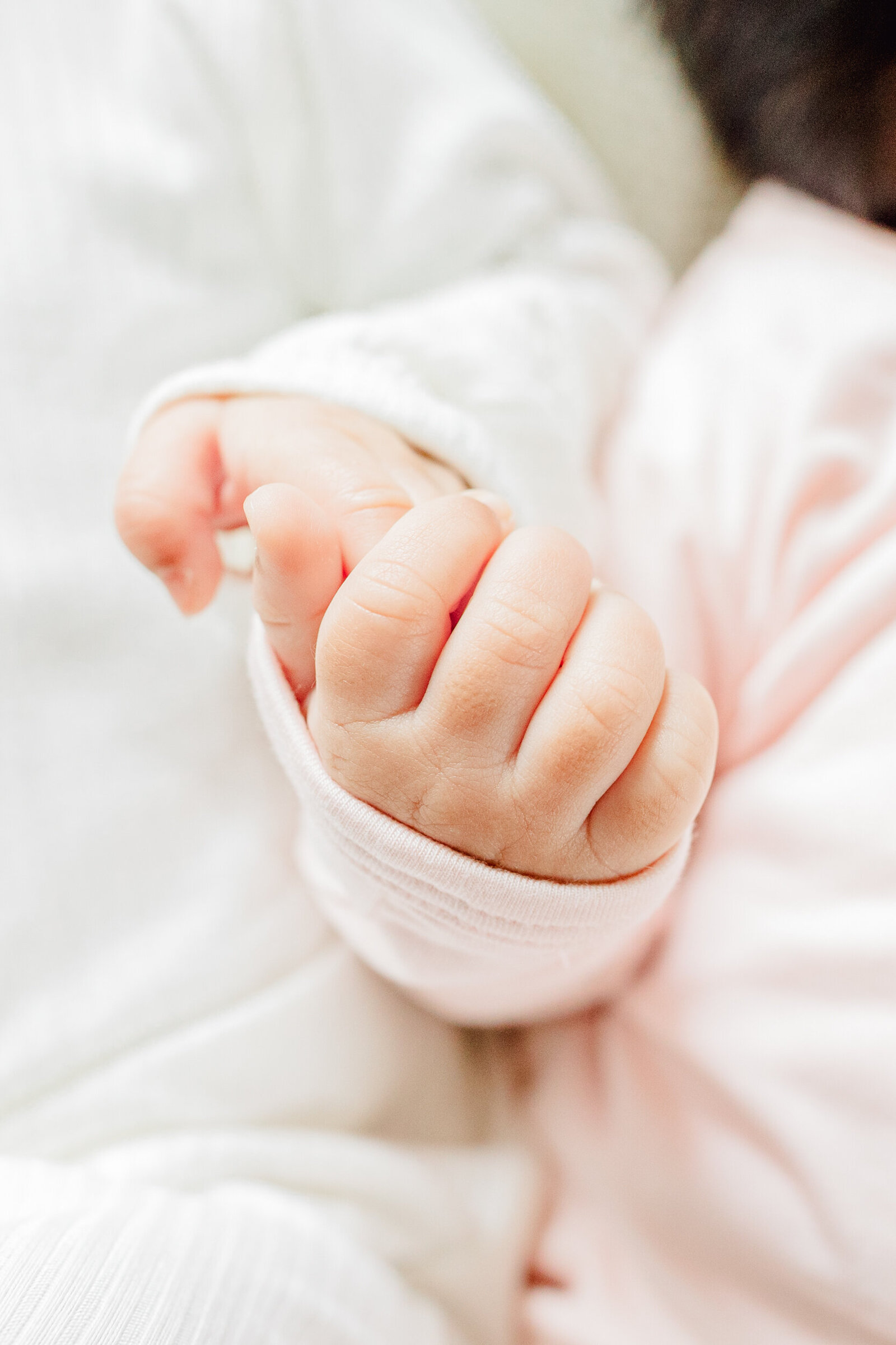 Closeup details of twin newborns holding hands at a photography session by a Boston Newborn Photographer