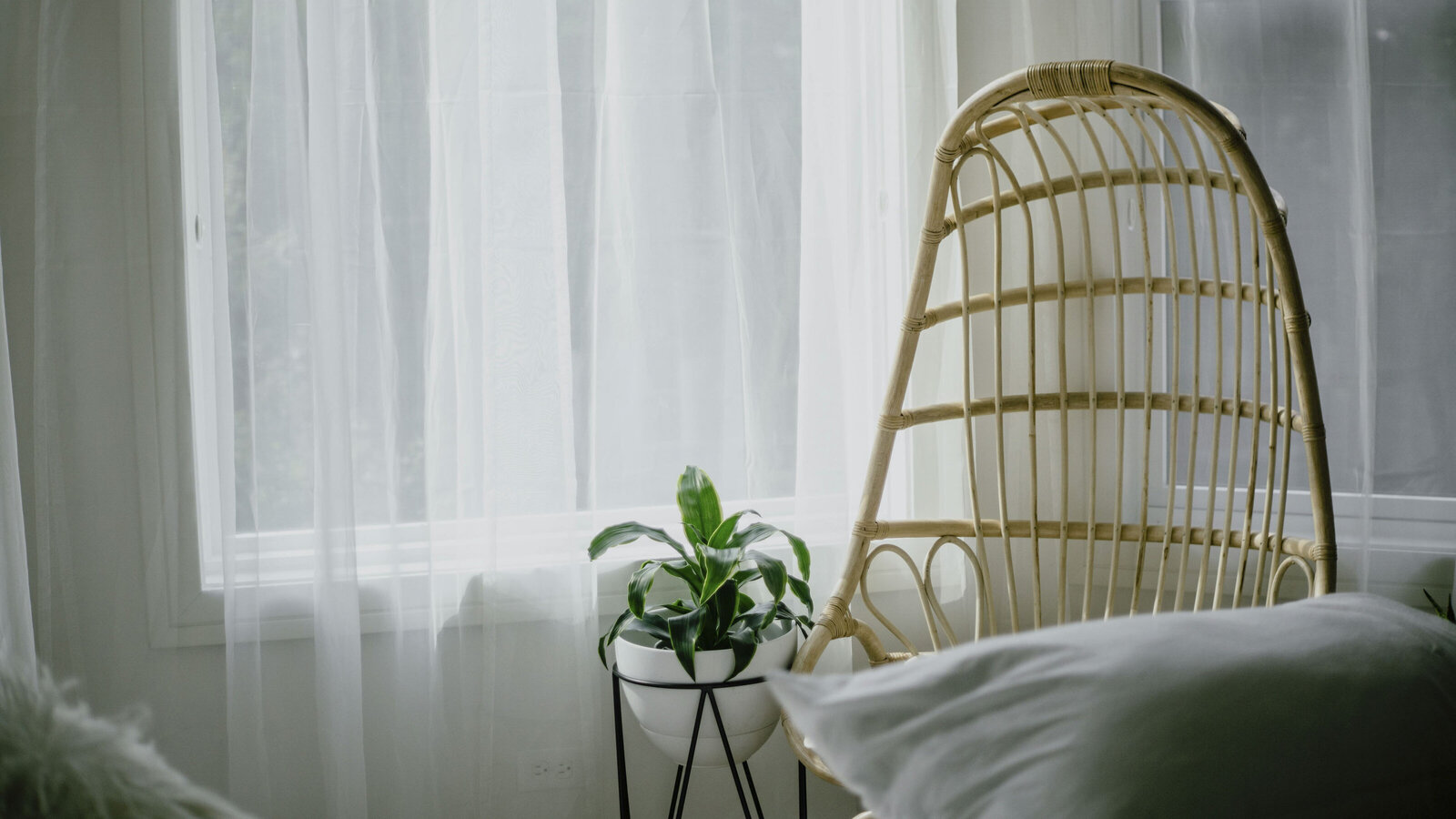 Peaceful Doula Care, doula